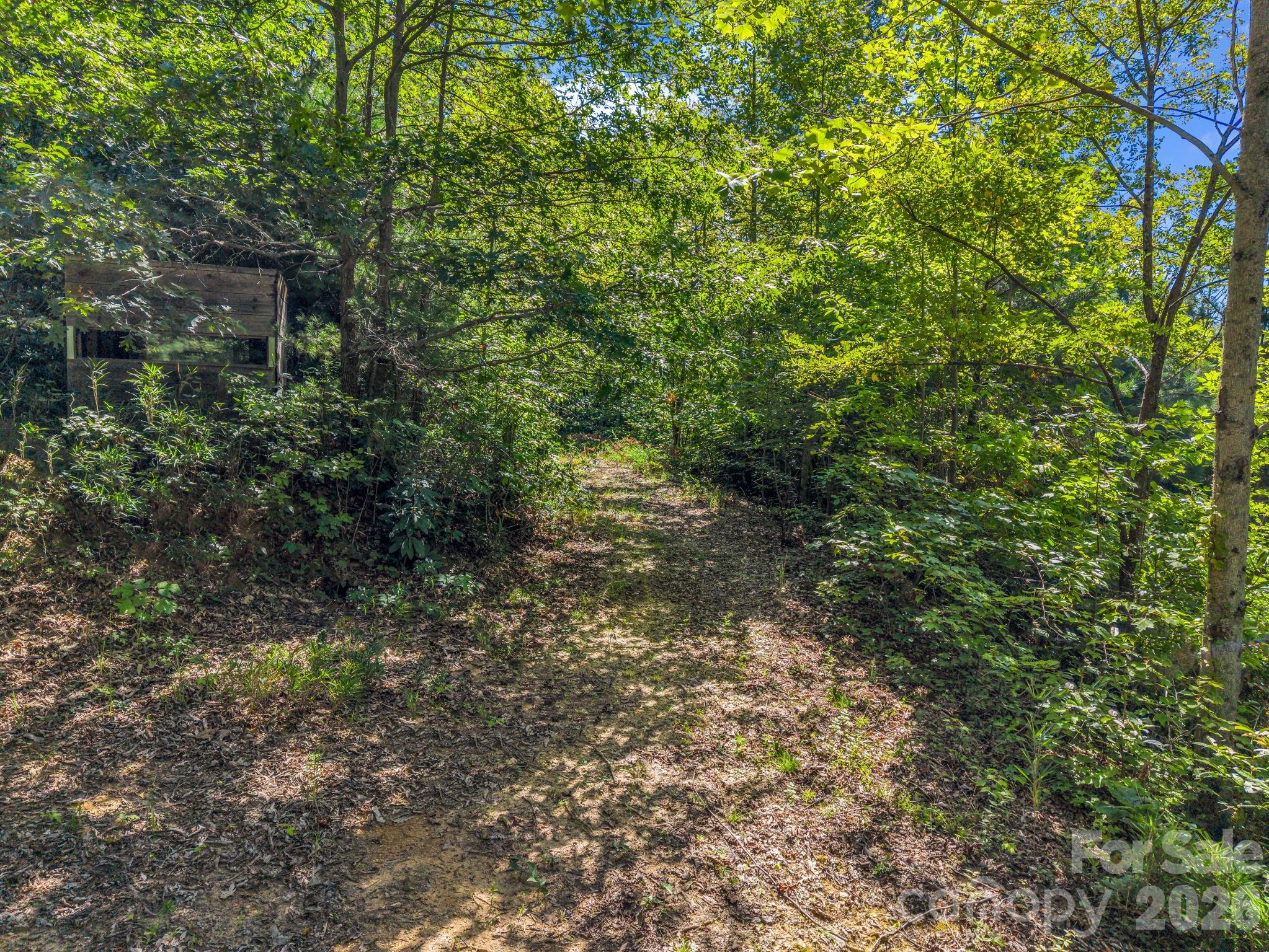 557 Sutton Mountain Ridge — Pisgah Forest