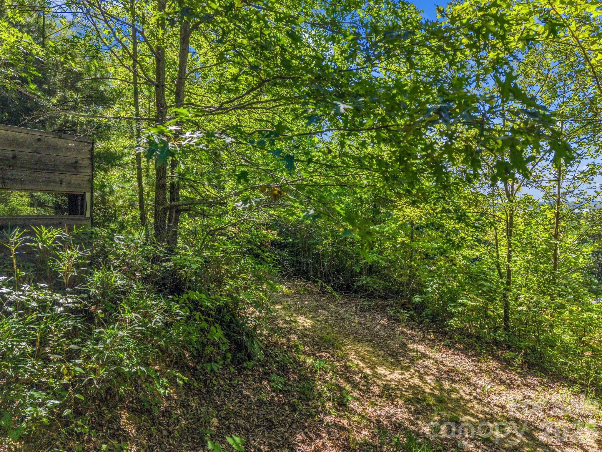 557 Sutton Mountain Ridge — Pisgah Forest