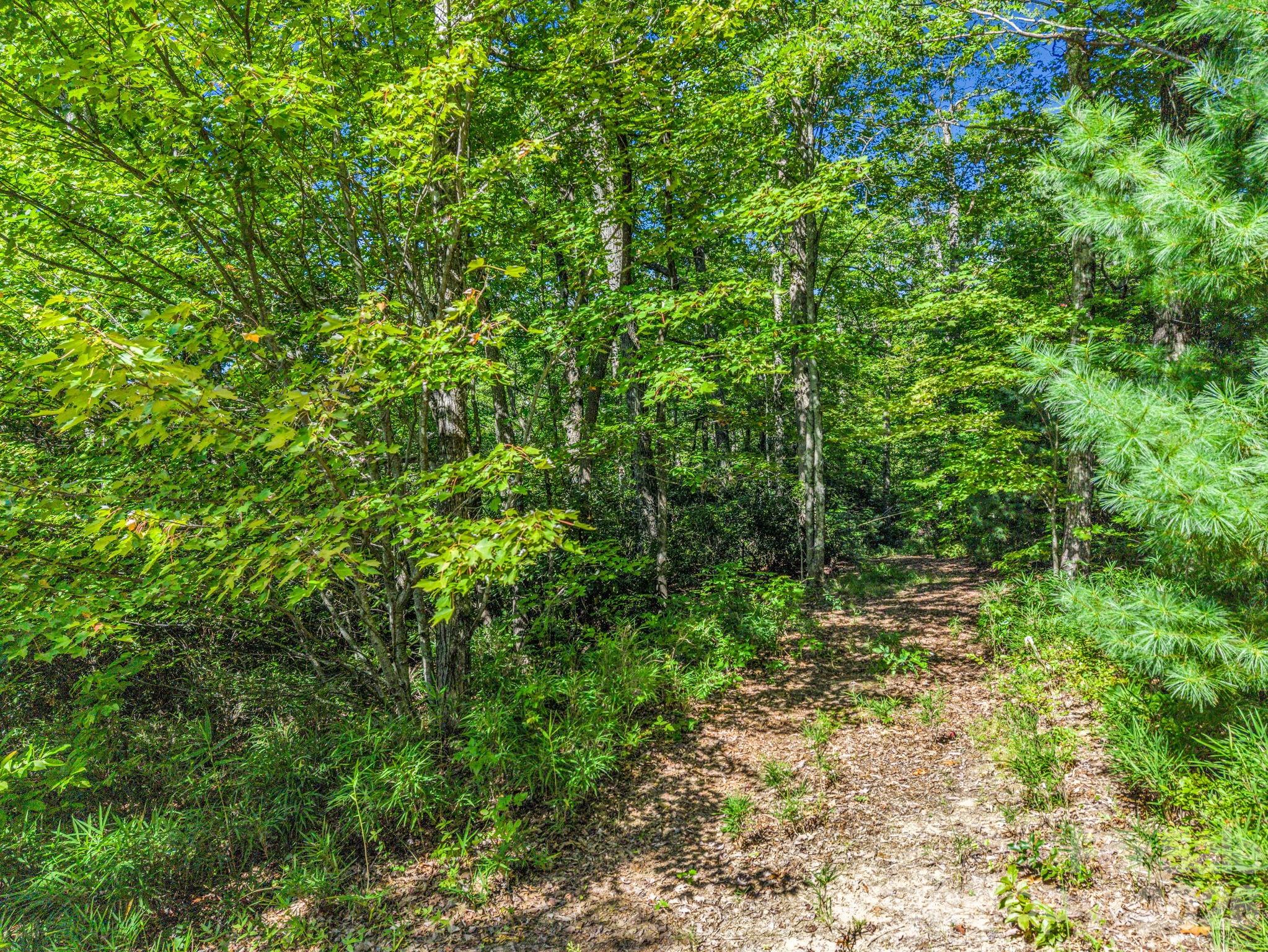 557 Sutton Mountain Ridge — Pisgah Forest