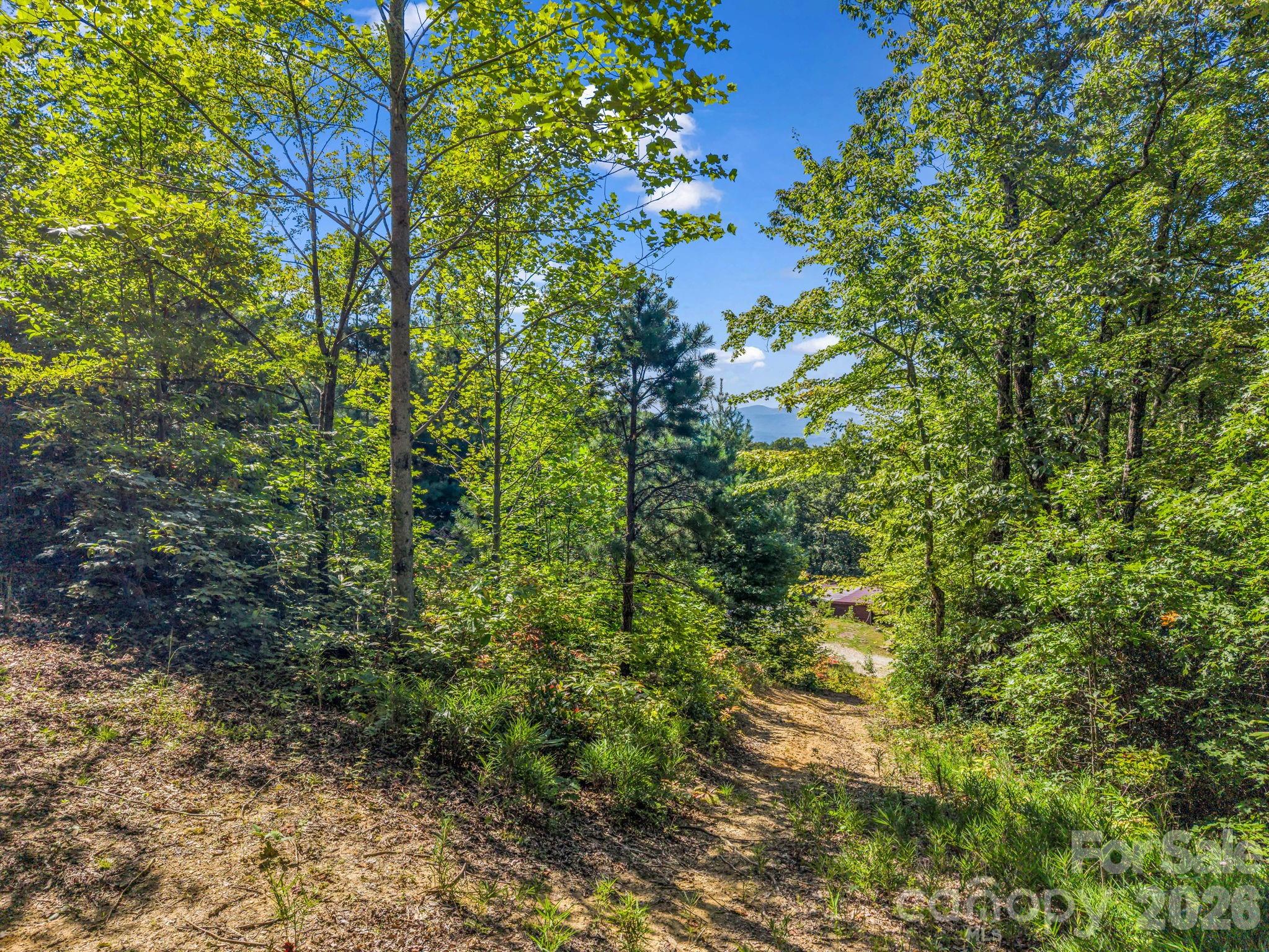 557 Sutton Mountain Ridge — Pisgah Forest