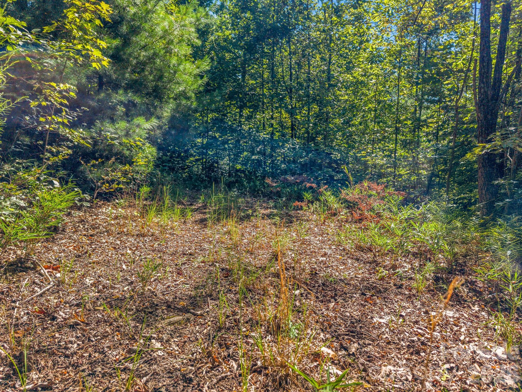557 Sutton Mountain Ridge — Pisgah Forest