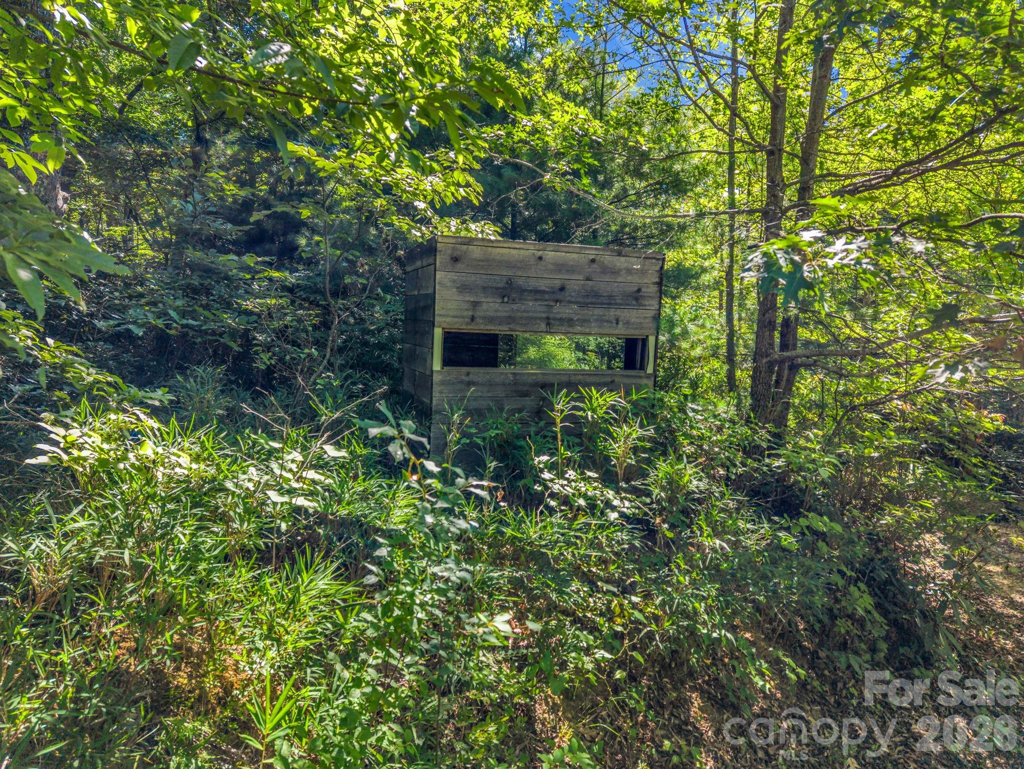 557 Sutton Mountain Ridge — Pisgah Forest