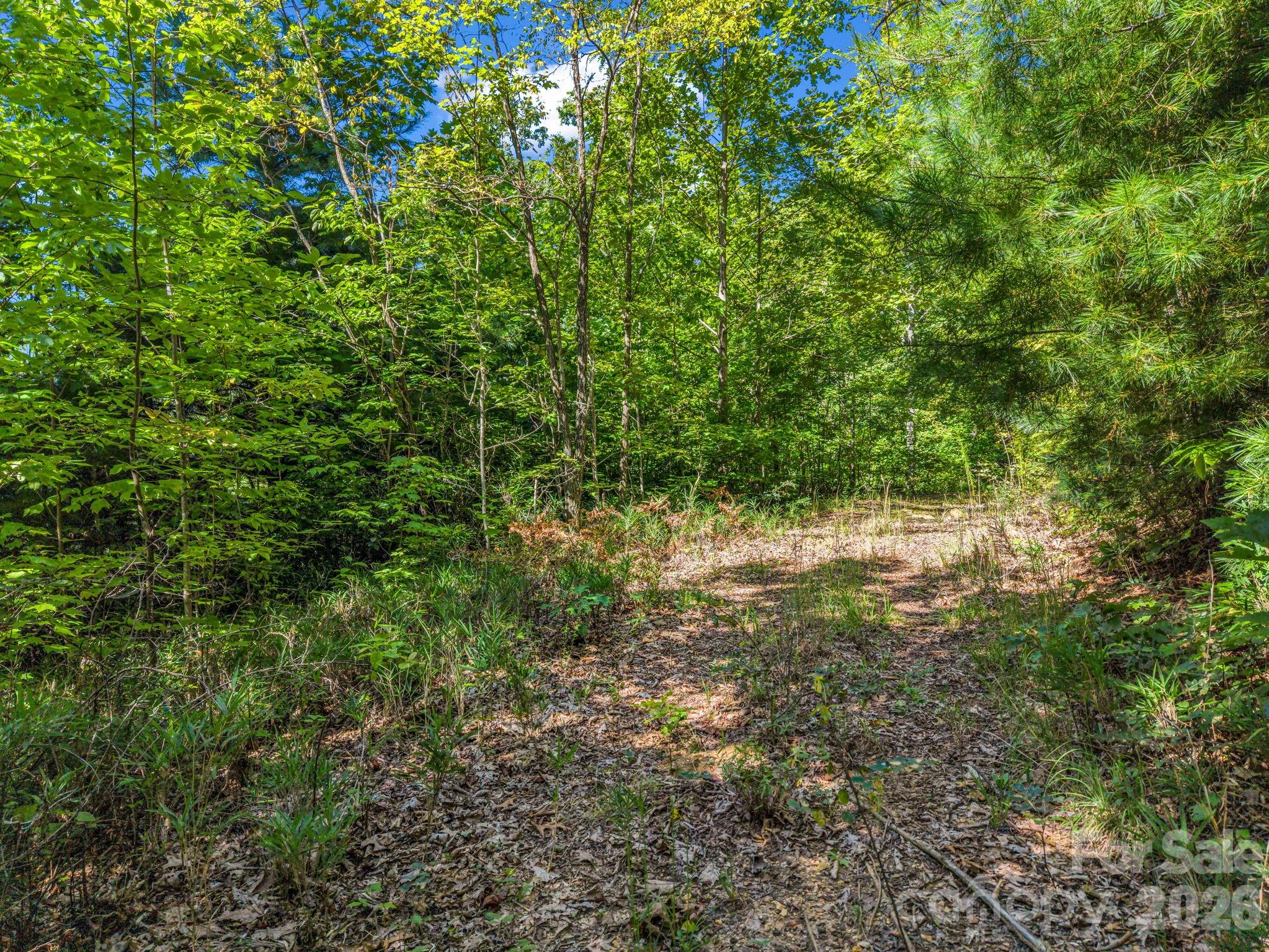 557 Sutton Mountain Ridge — Pisgah Forest