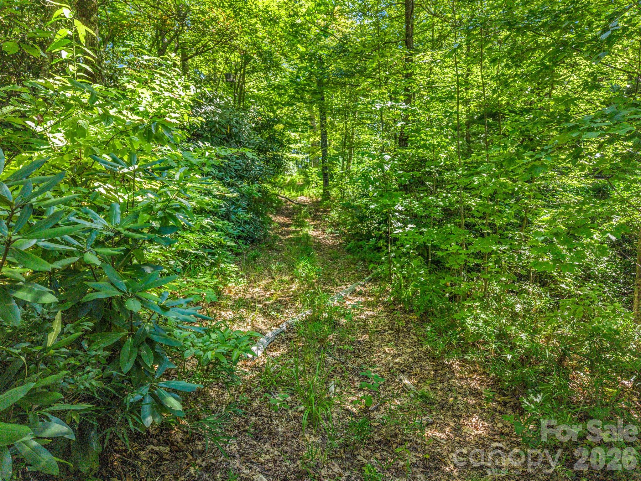 557 Sutton Mountain Ridge — Pisgah Forest