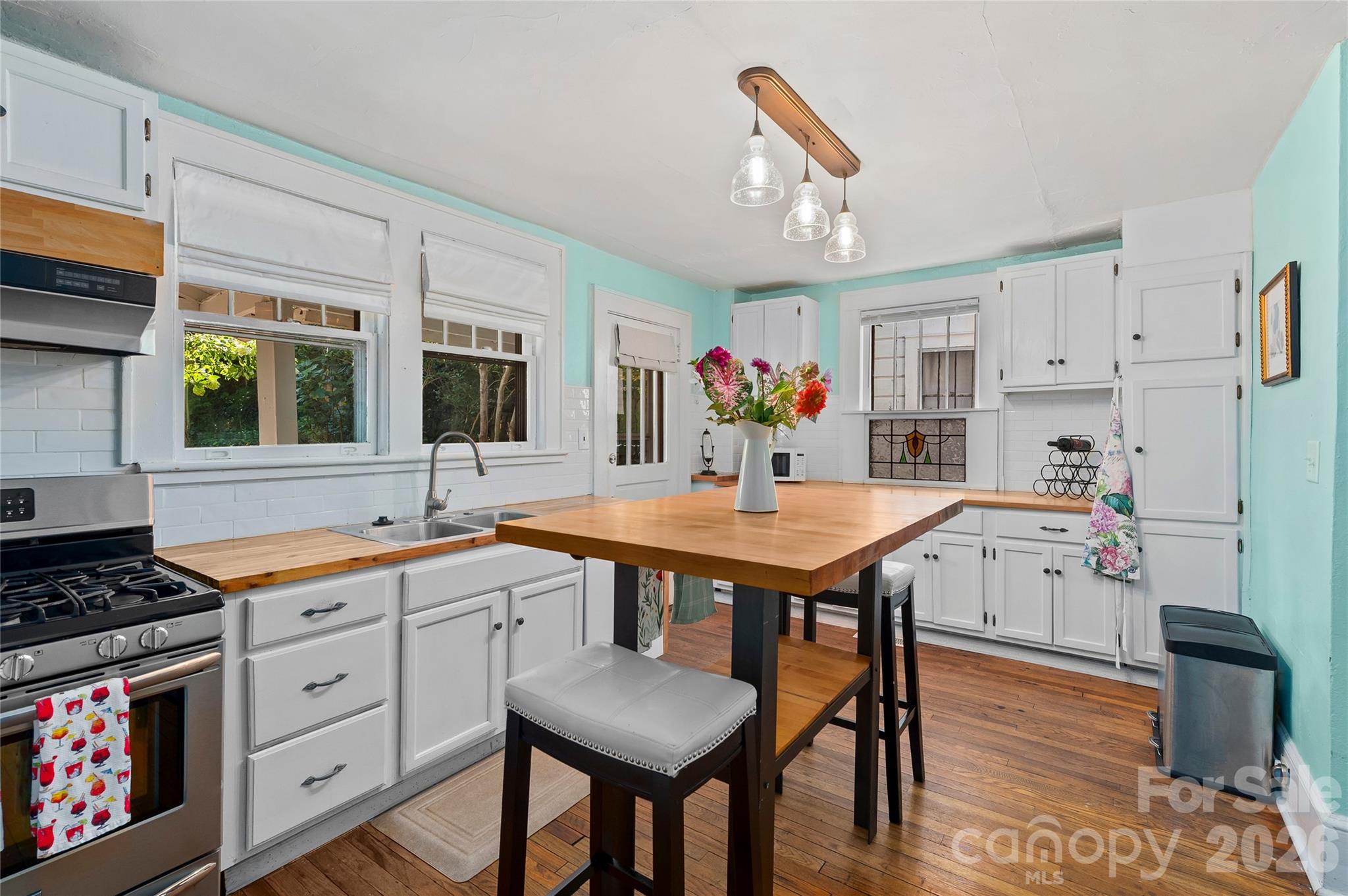 57 Conestee Street — Asheville
