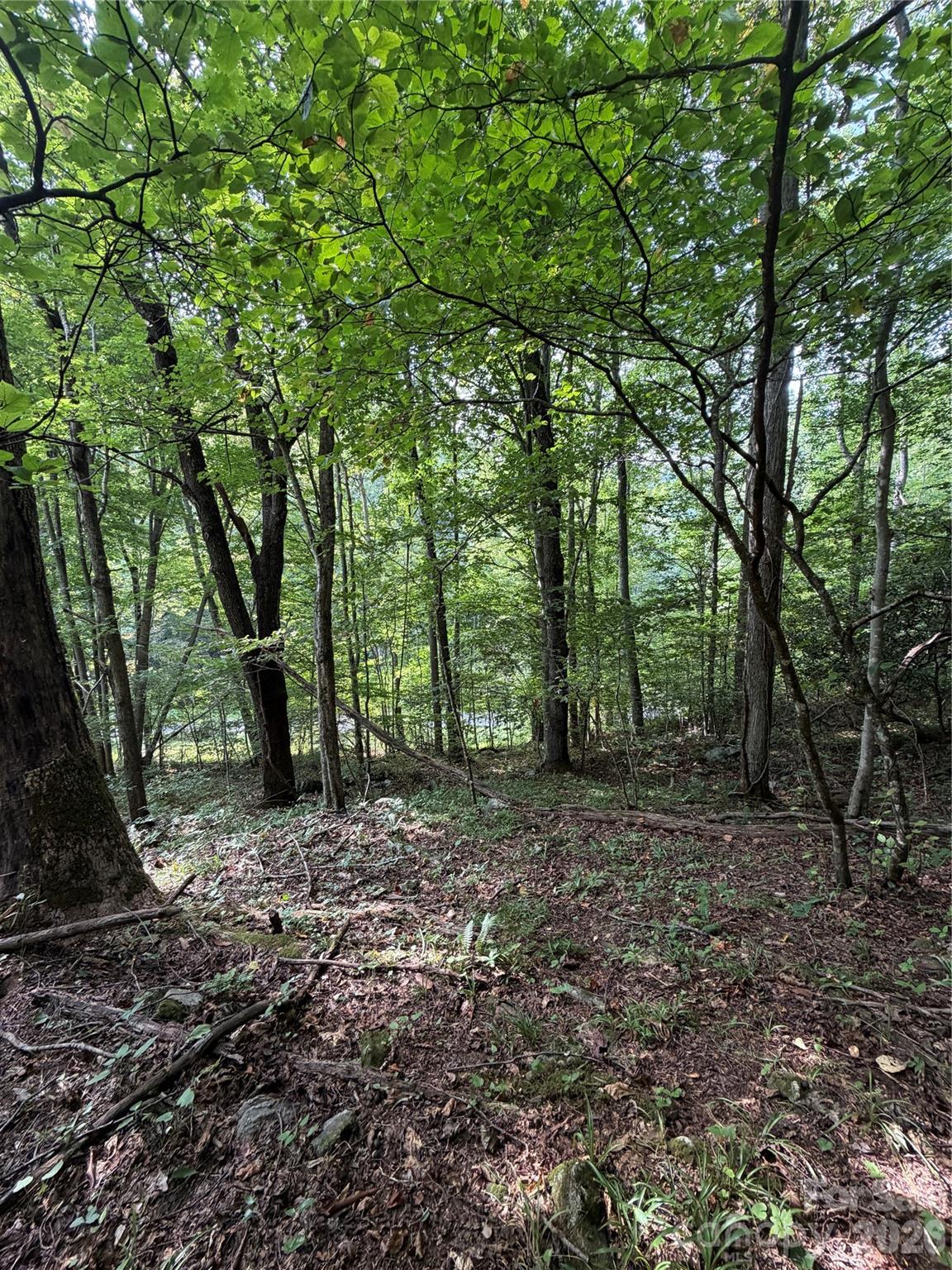 92 Silas Branch Road — Burnsville