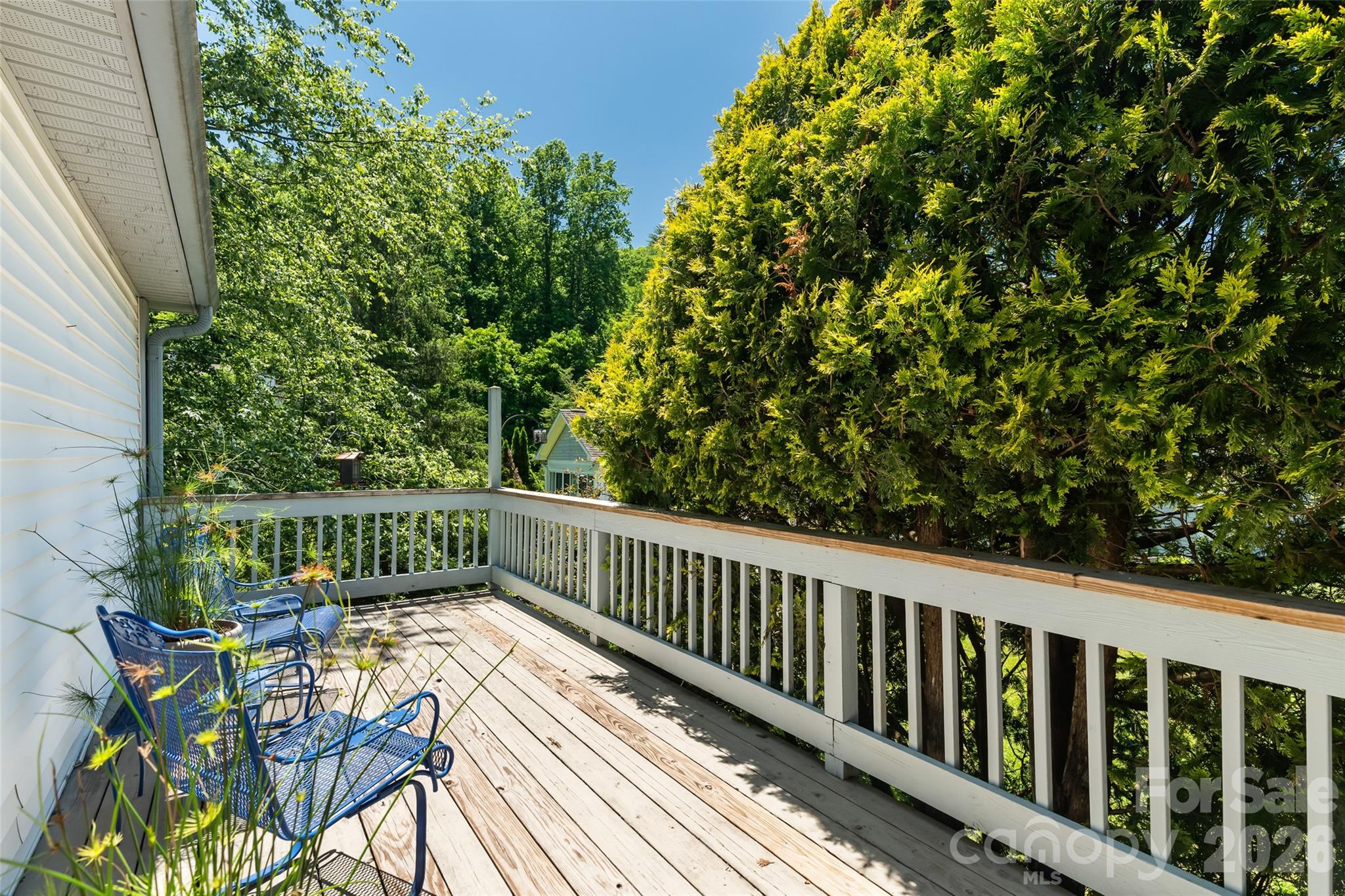 20 Mallard Court — Brevard