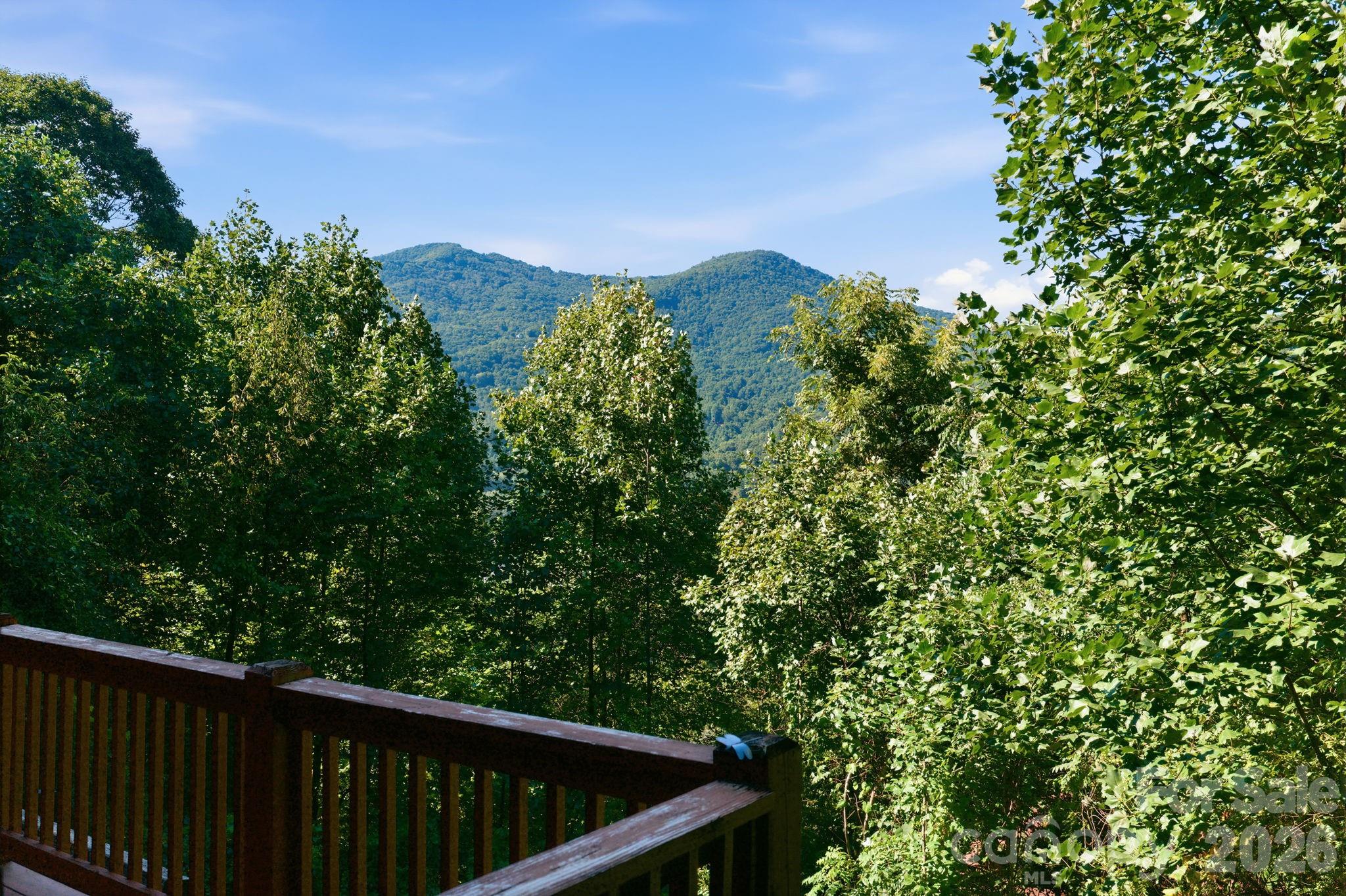 291 Appalachian Trail — Maggie Valley