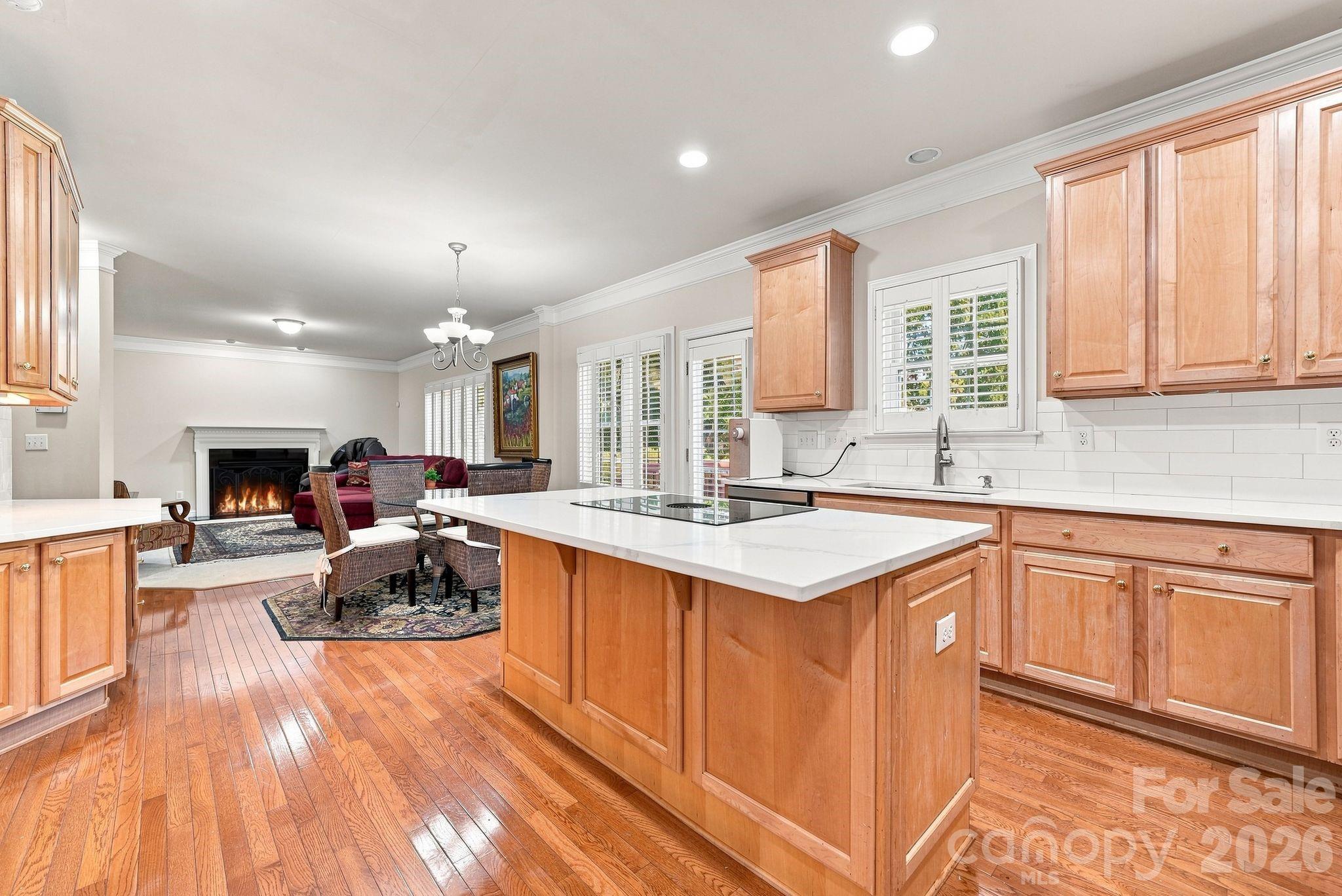 19104 Berkley Commons Drive — Cornelius