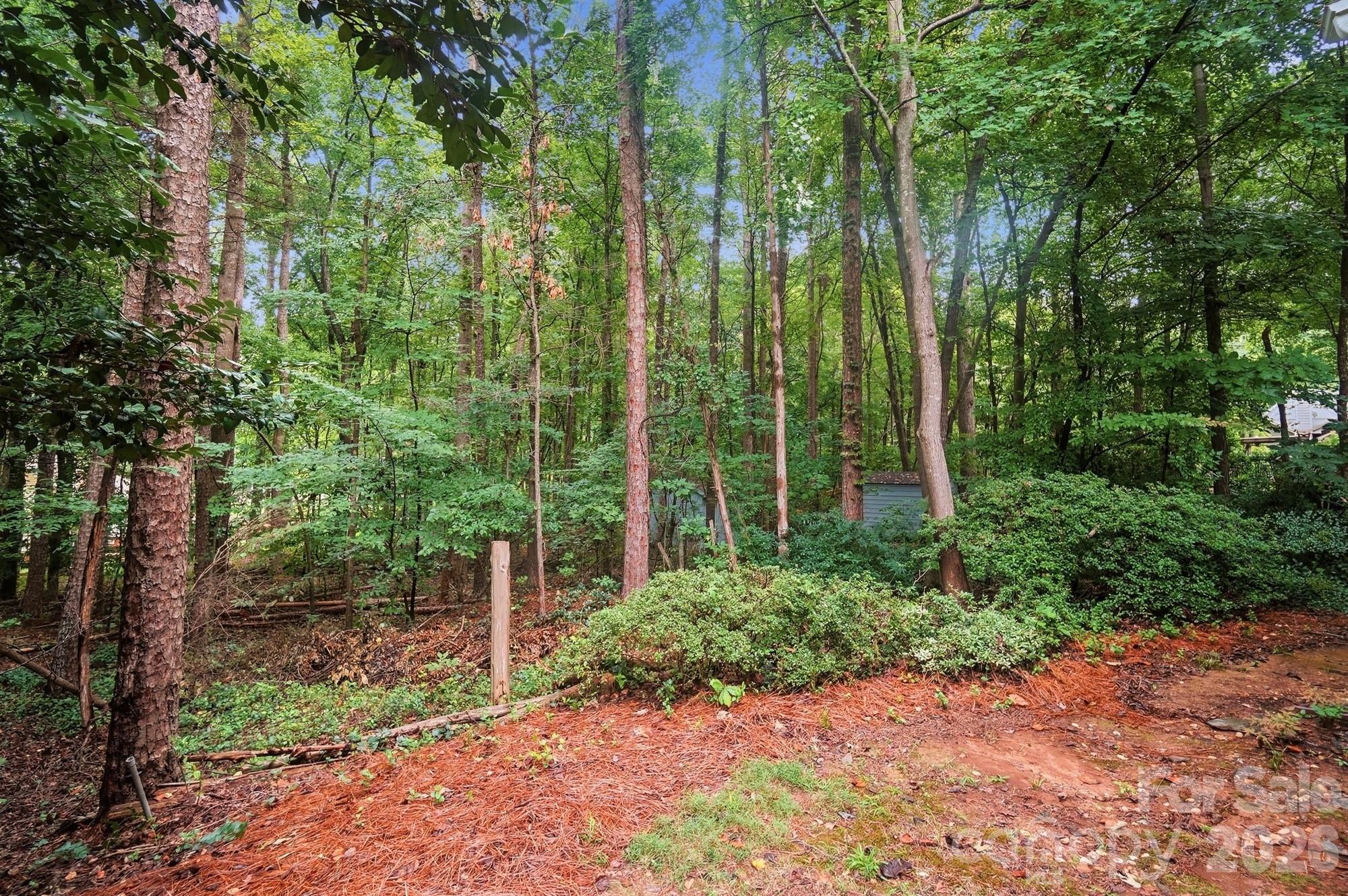 2819 Cedar Chase Drive — Matthews