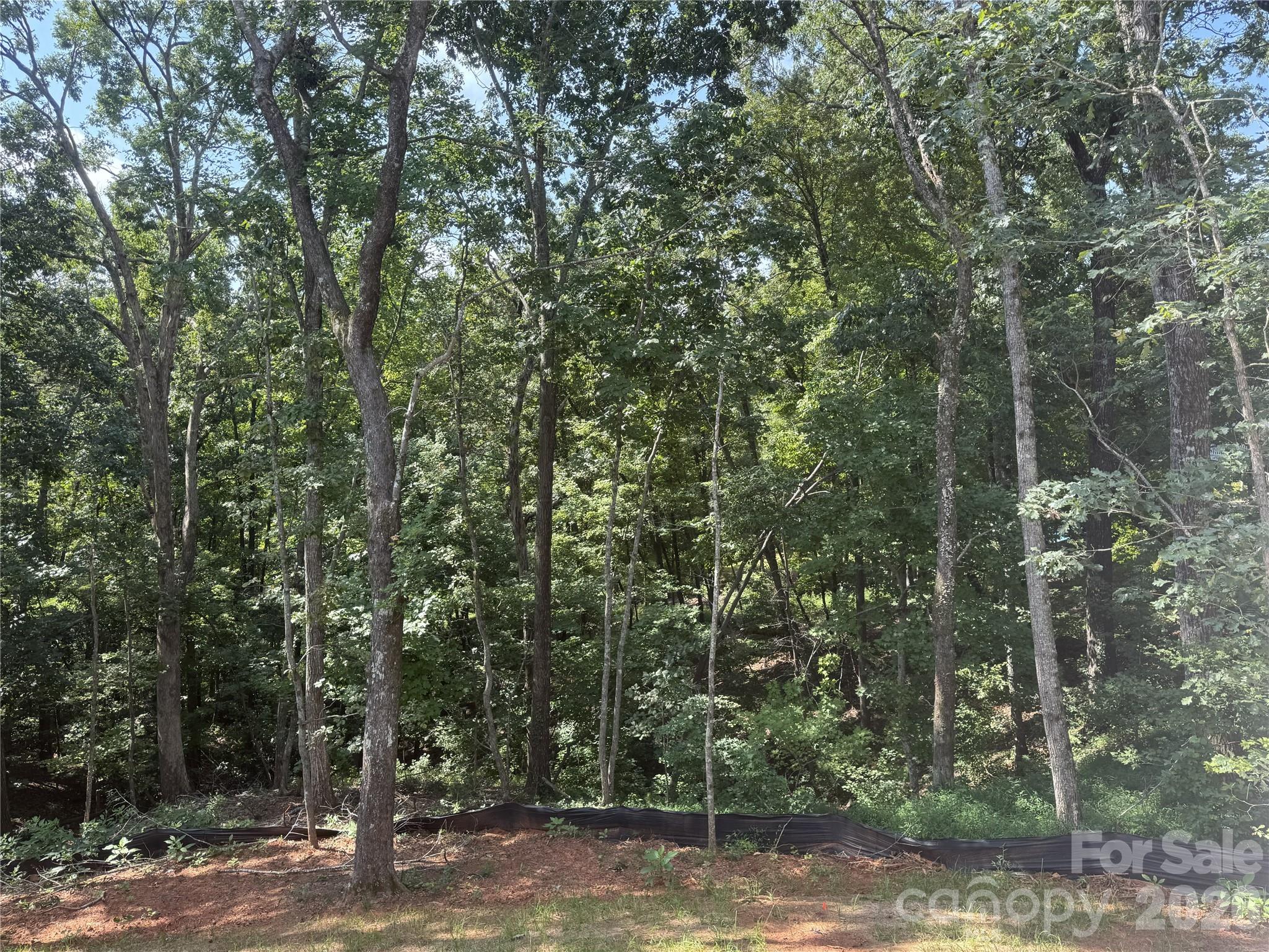 436 Dublin Lane — Columbus