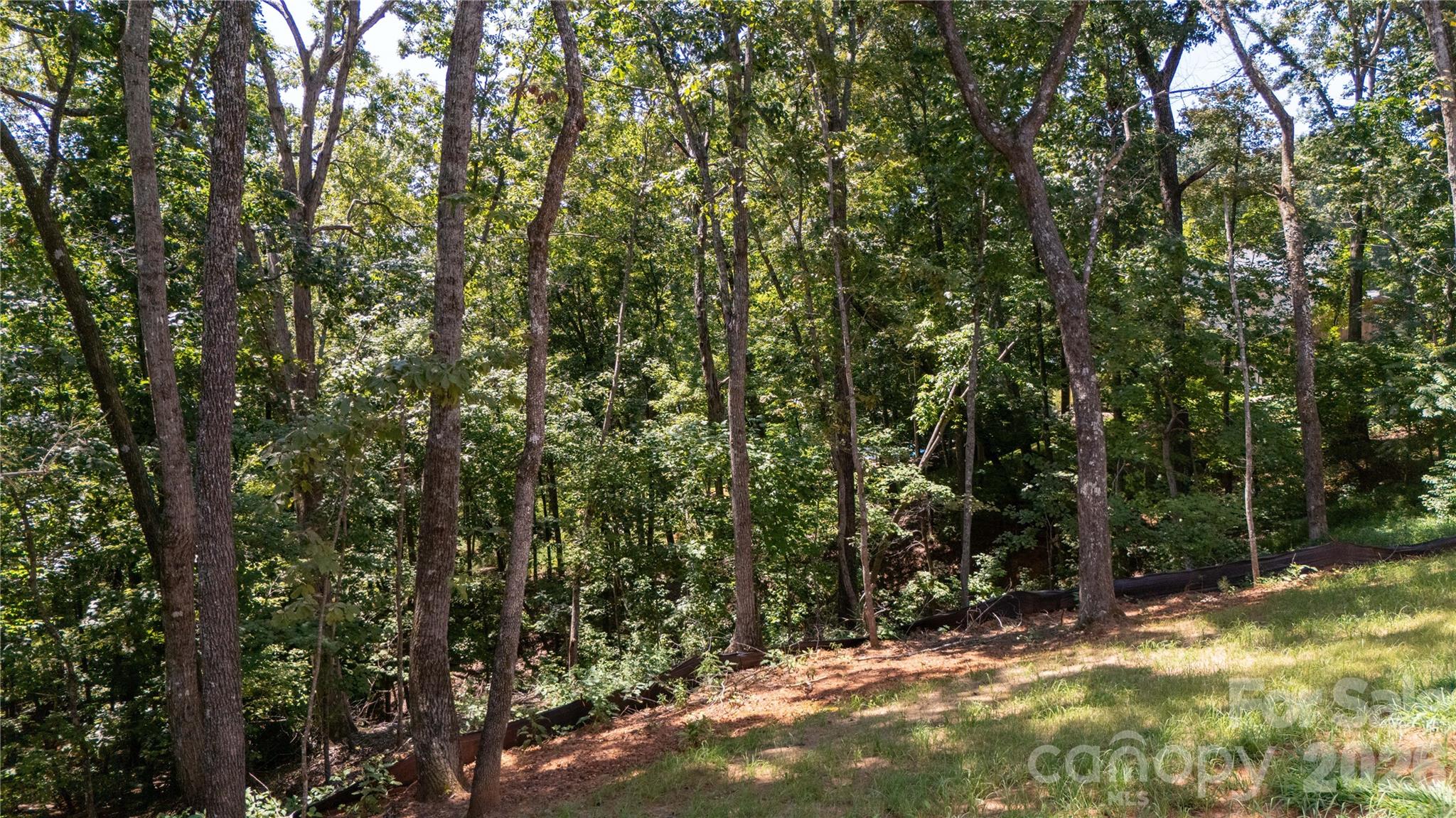 436 Dublin Lane — Columbus