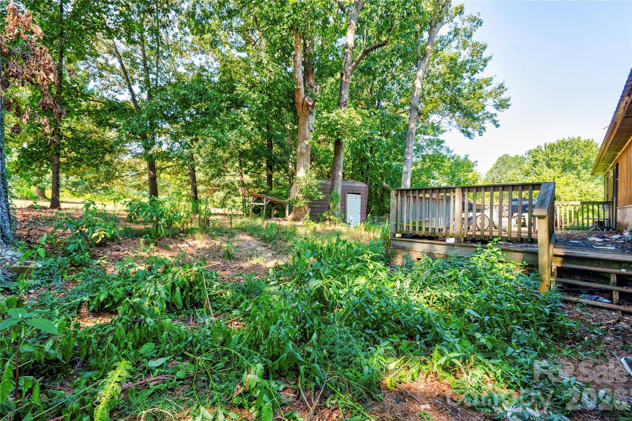 807 Johnnie Bridges Road — Shelby