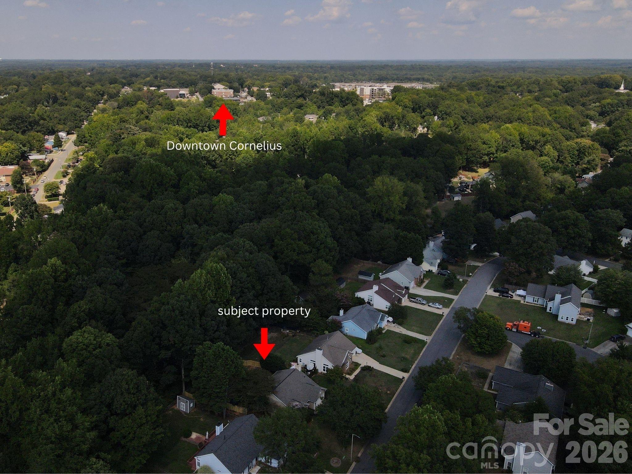 10333 Danesway Lane — Cornelius