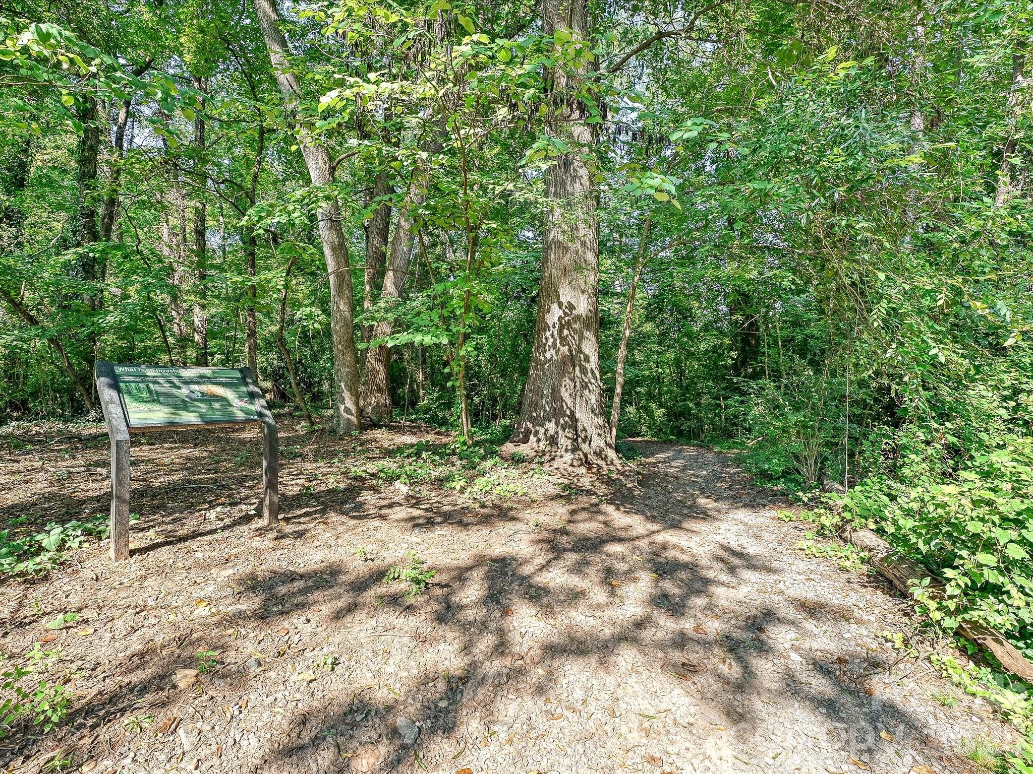 1538 Sterling Road — Charlotte