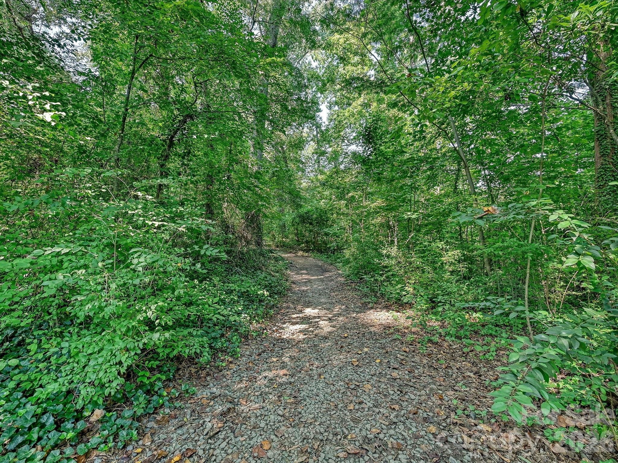 1538 Sterling Road — Charlotte