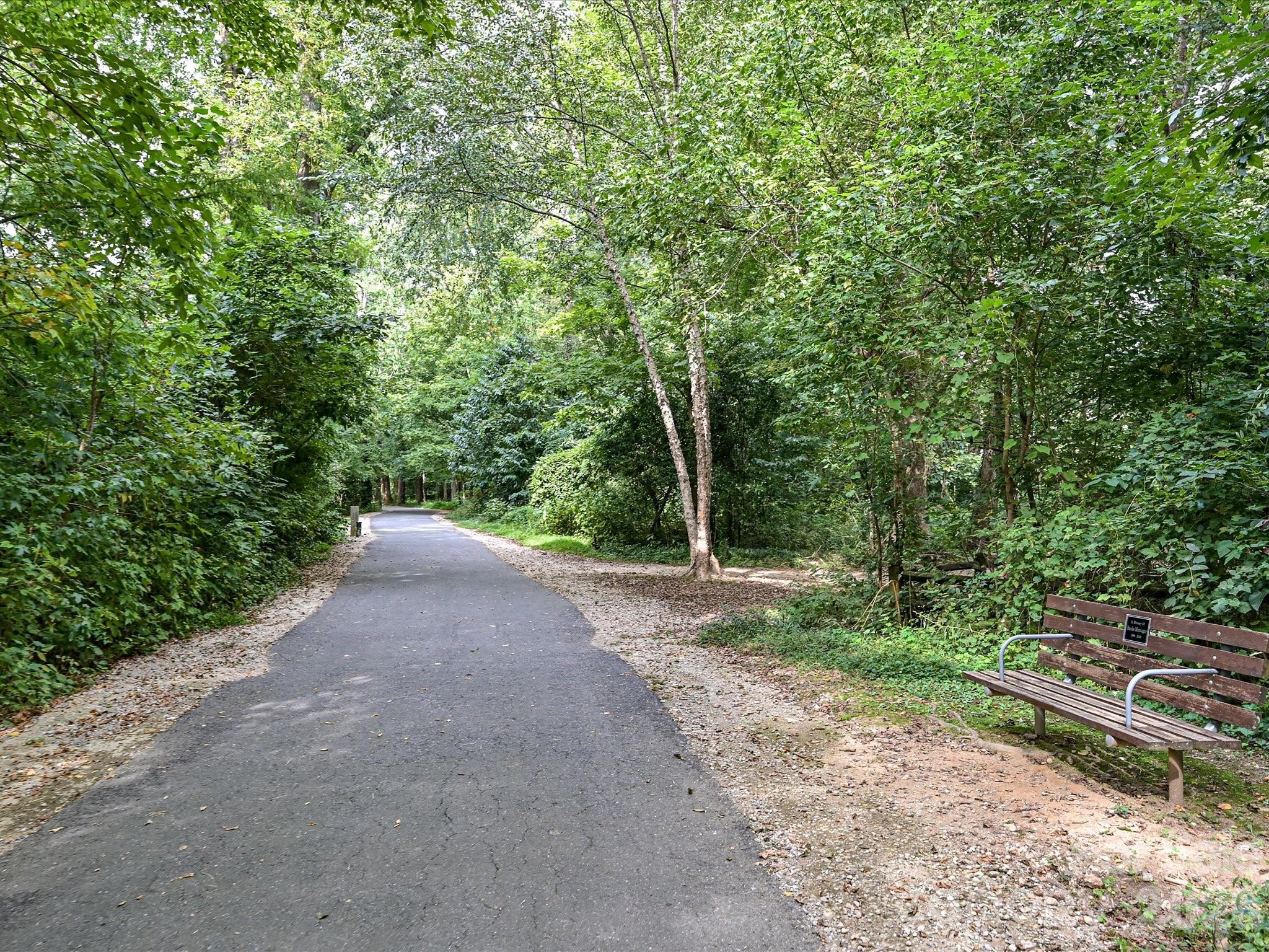 1538 Sterling Road — Charlotte