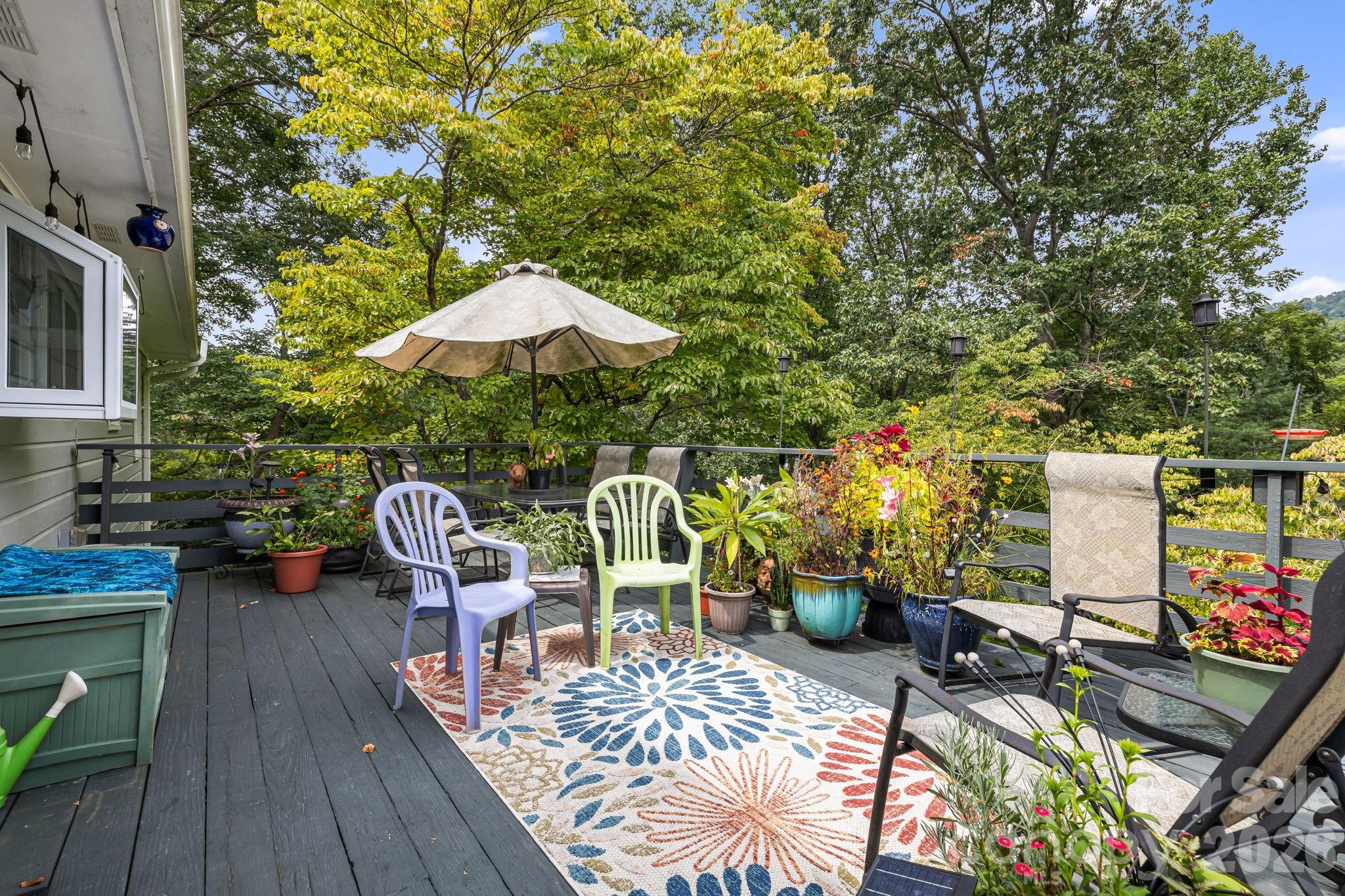 49 White Pine Drive — Asheville