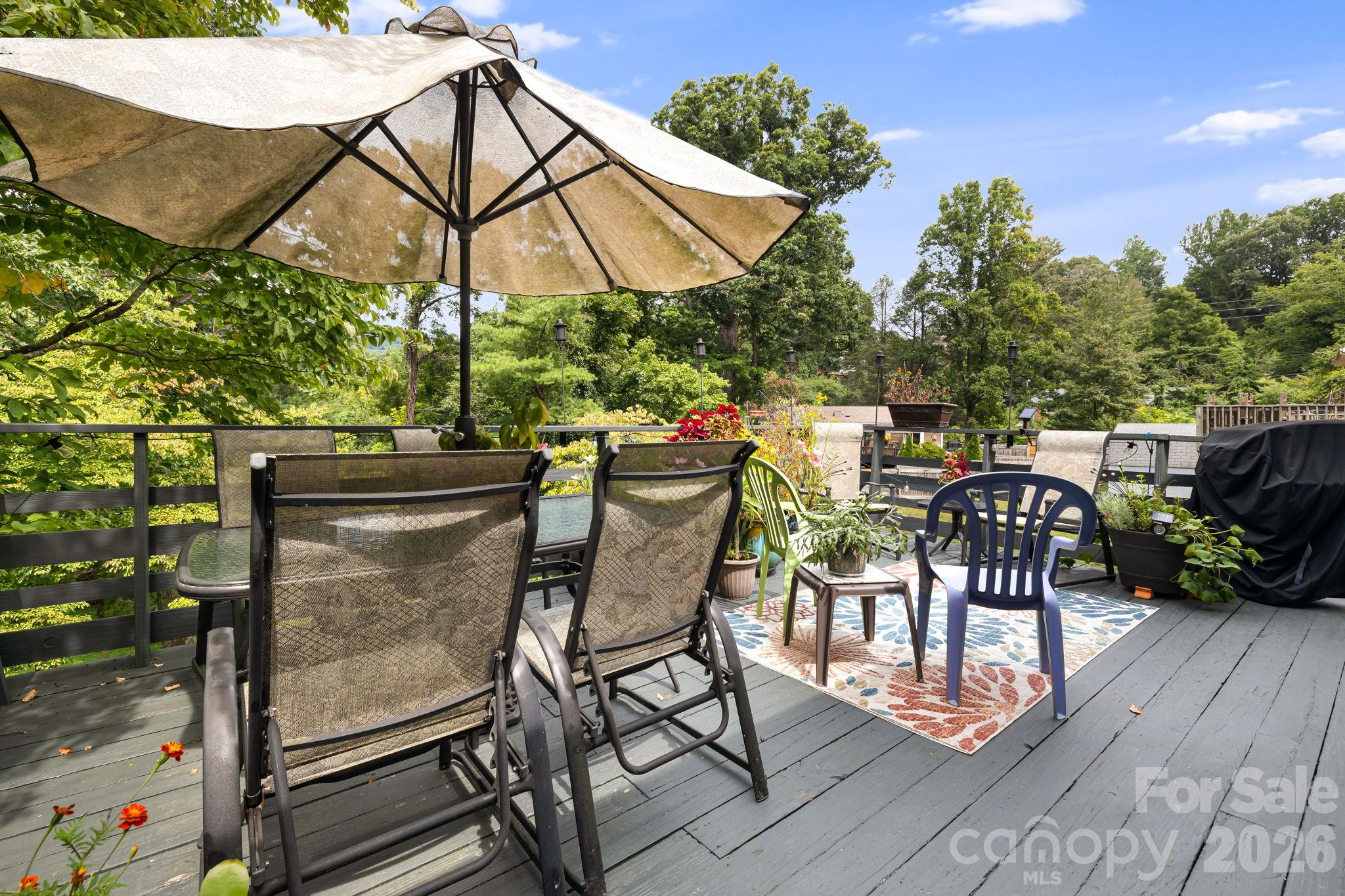 49 White Pine Drive — Asheville