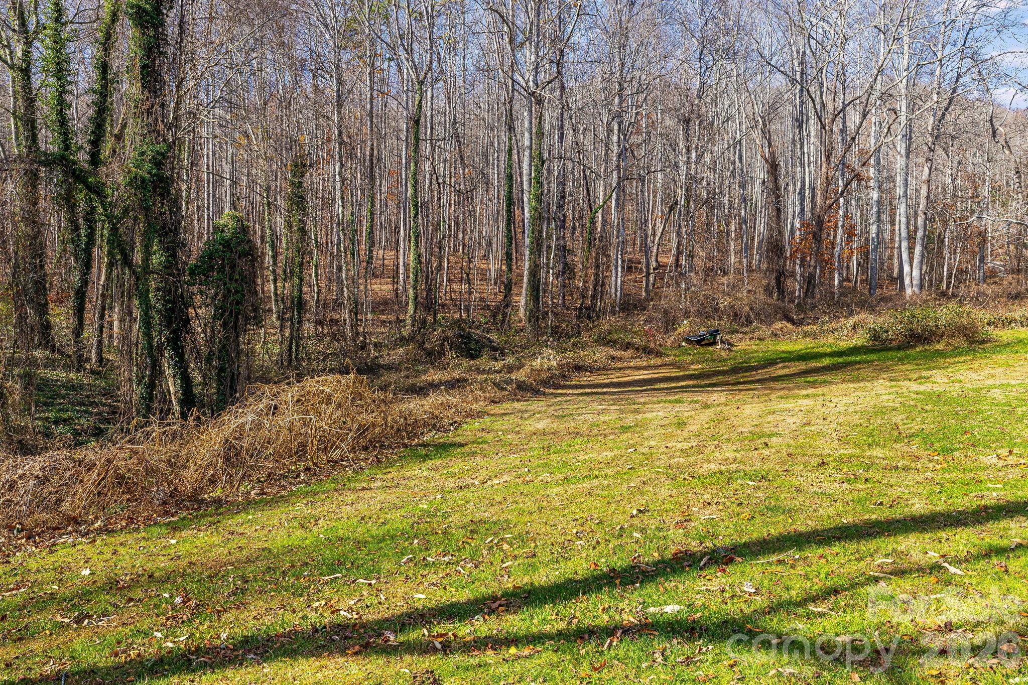 55 Harris Ridge Road — Candler