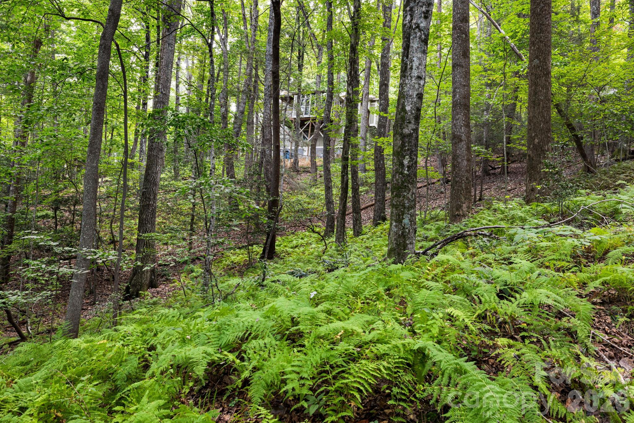 22 Wild Violet Lane — Arden