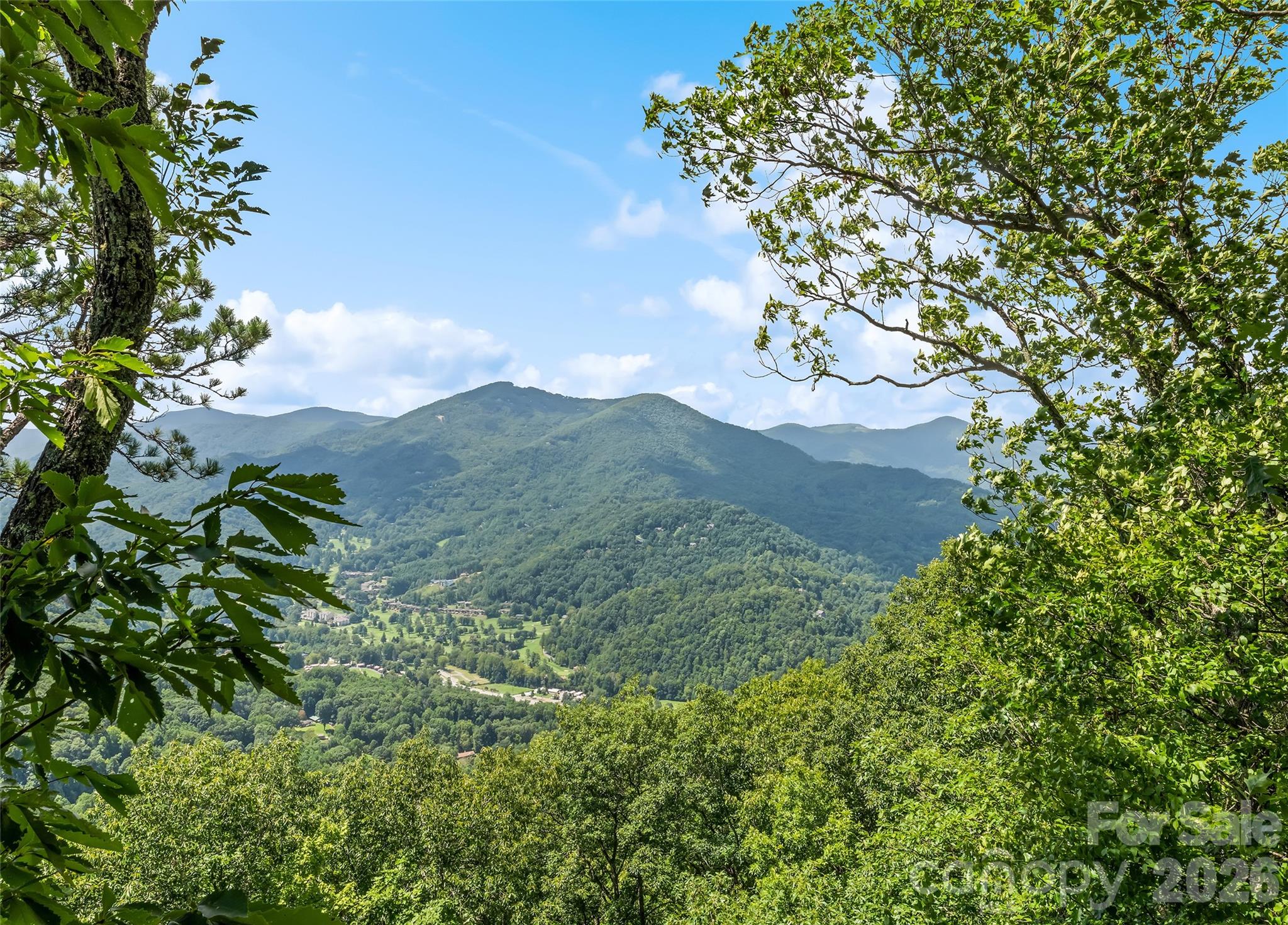 463 Walela Trail — Maggie Valley