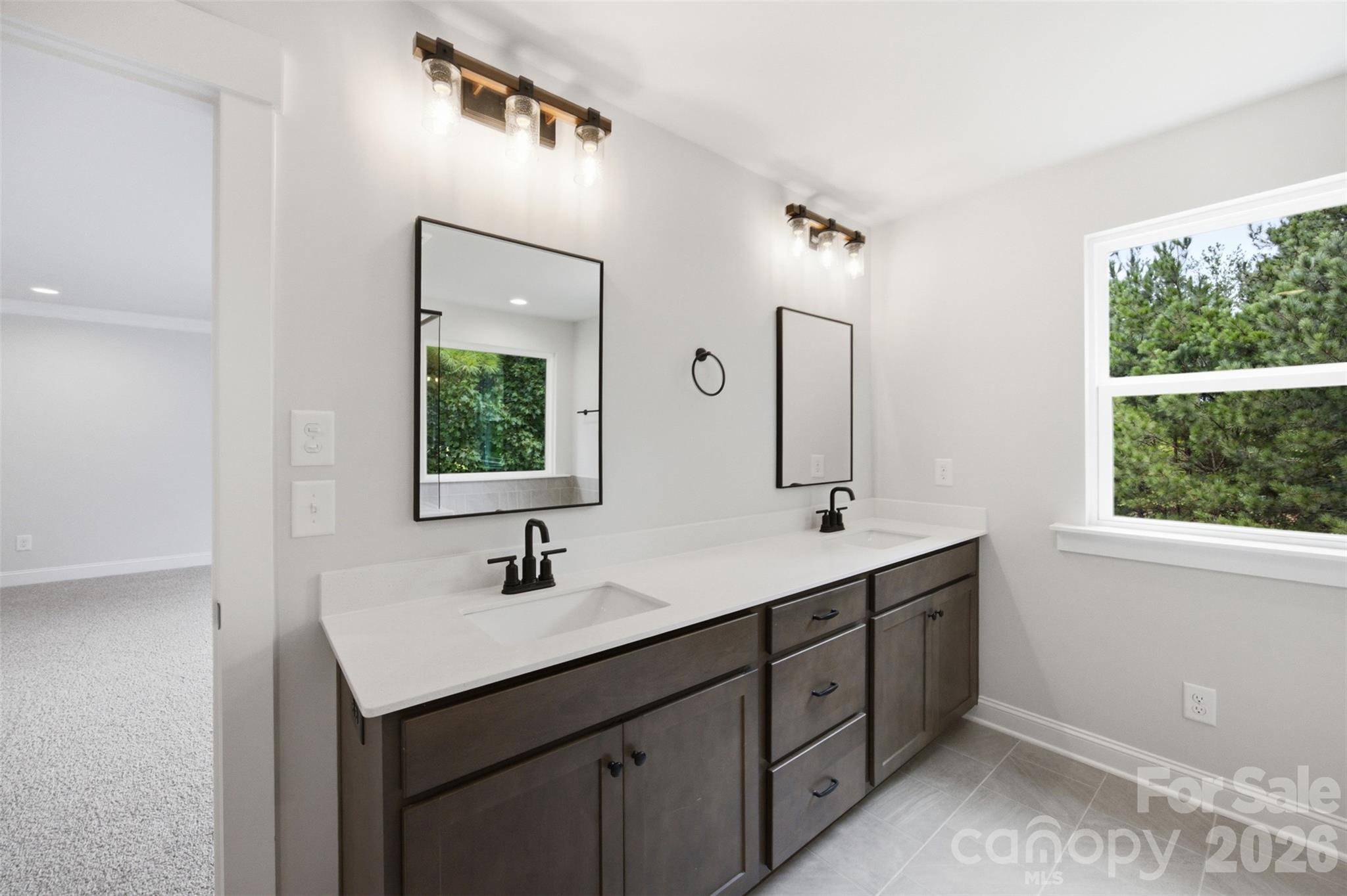 4267 Dashley Circle #75 — Catawba
