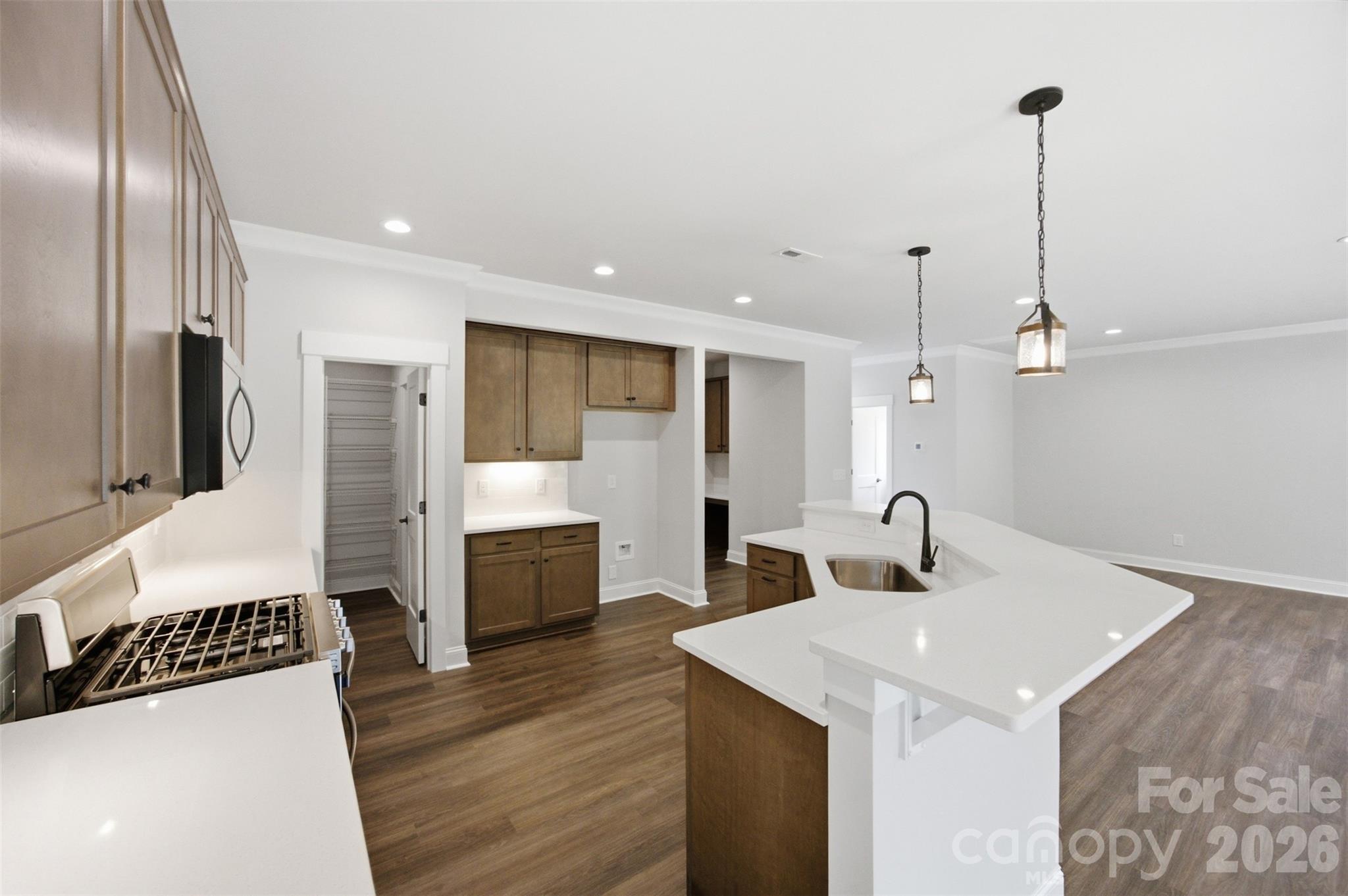 4267 Dashley Circle #75 — Catawba