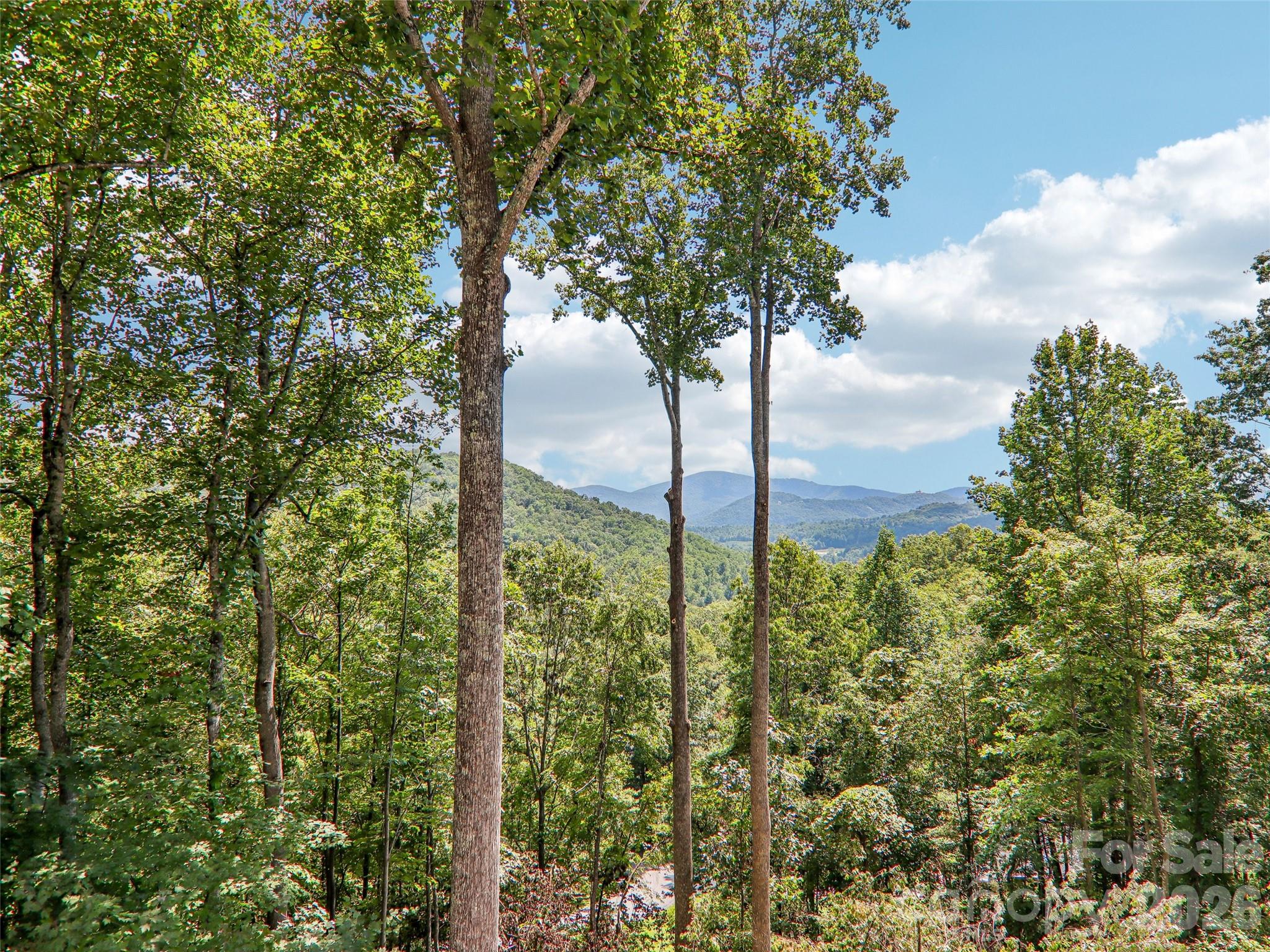 16 Hobe Crest — Hendersonville