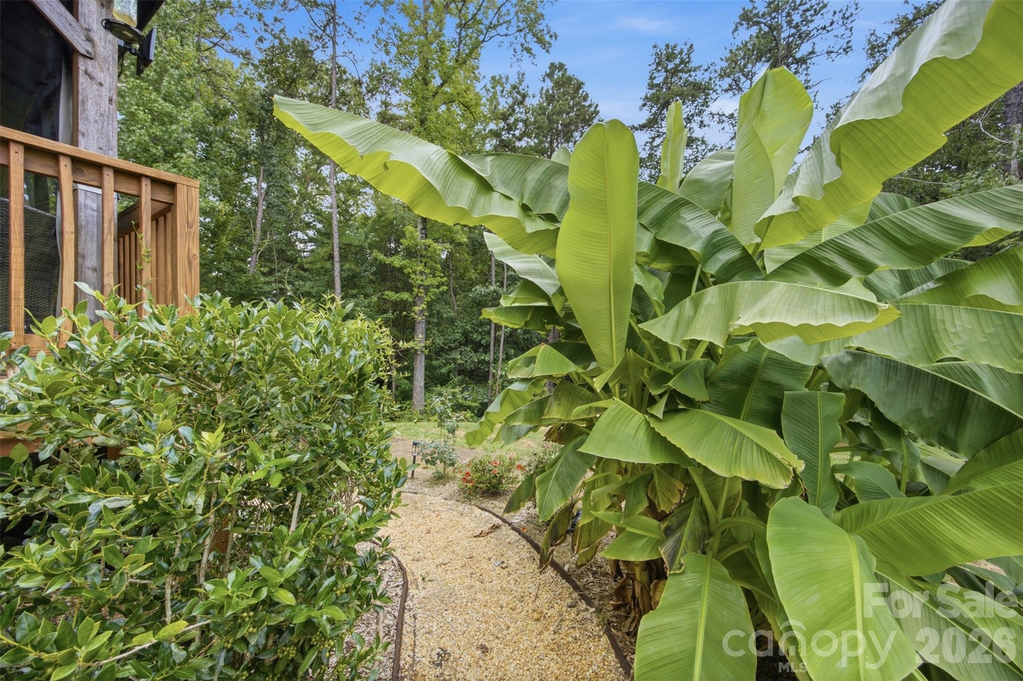 256 Litaker Lane — Concord
