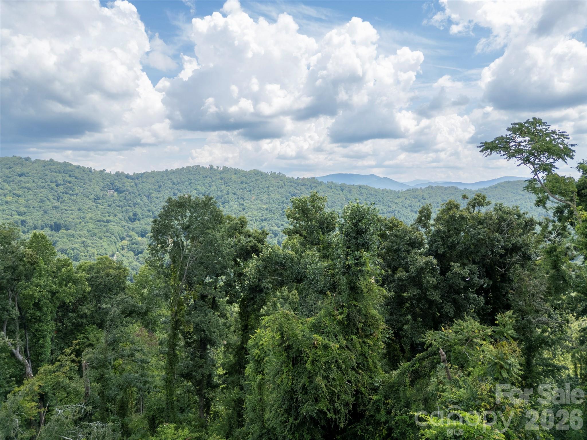 647 Town Mountain Road #211 — Asheville