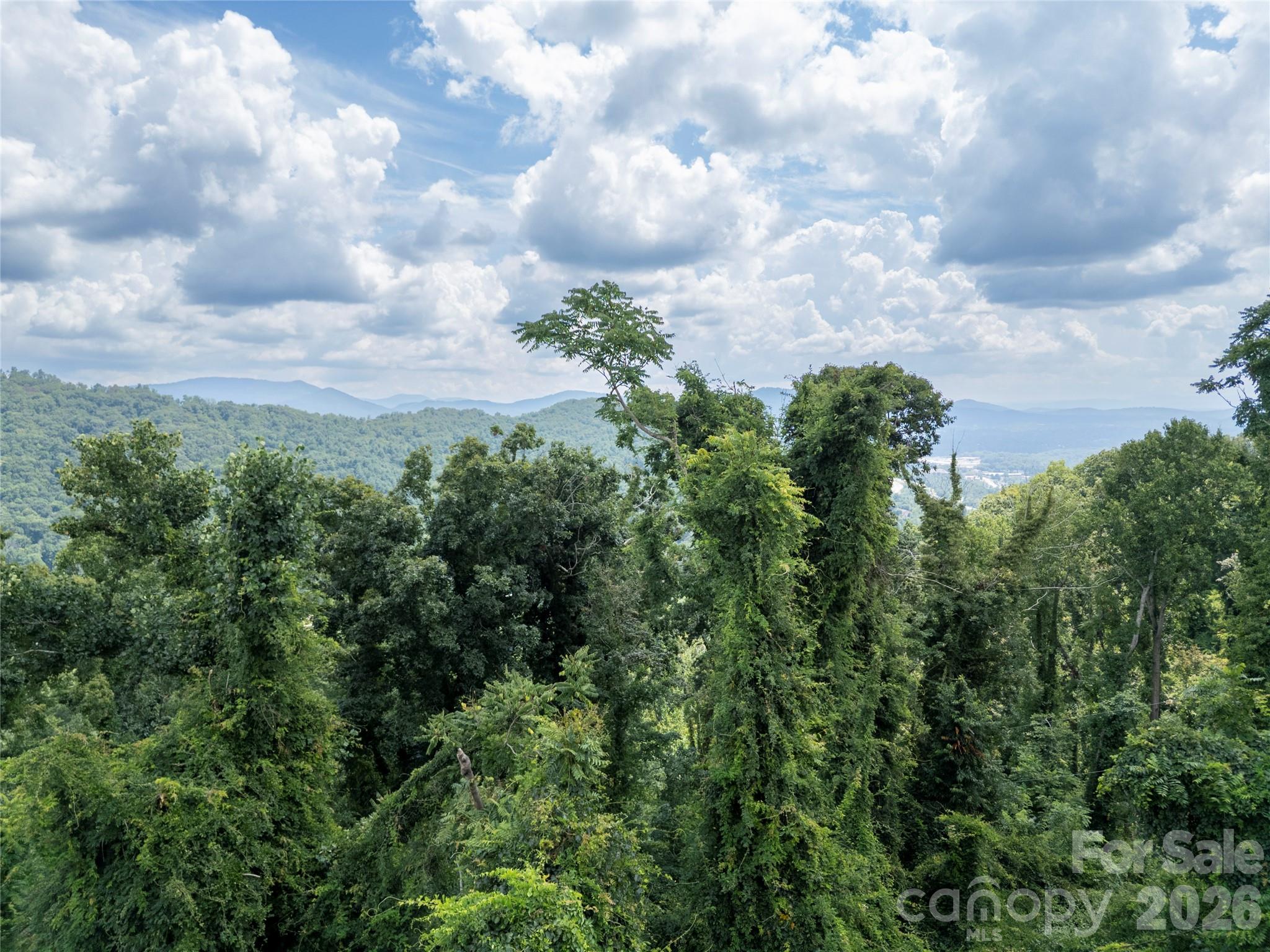 647 Town Mountain Road #211 — Asheville