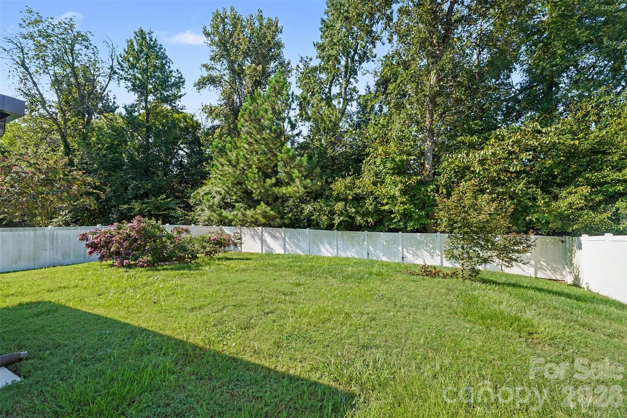 1613 Painted Horse Drive — Indian Trail