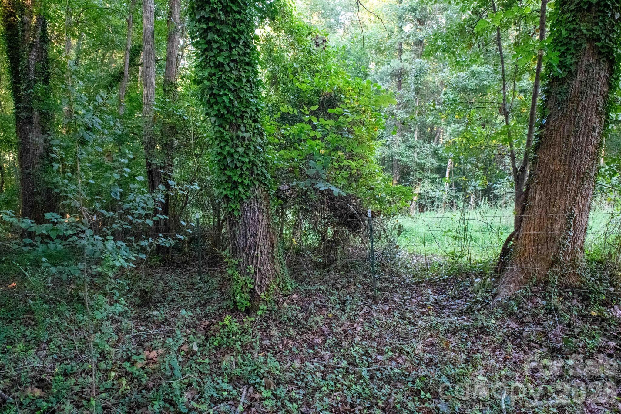 2437 S Rosedale Drive — Lenoir