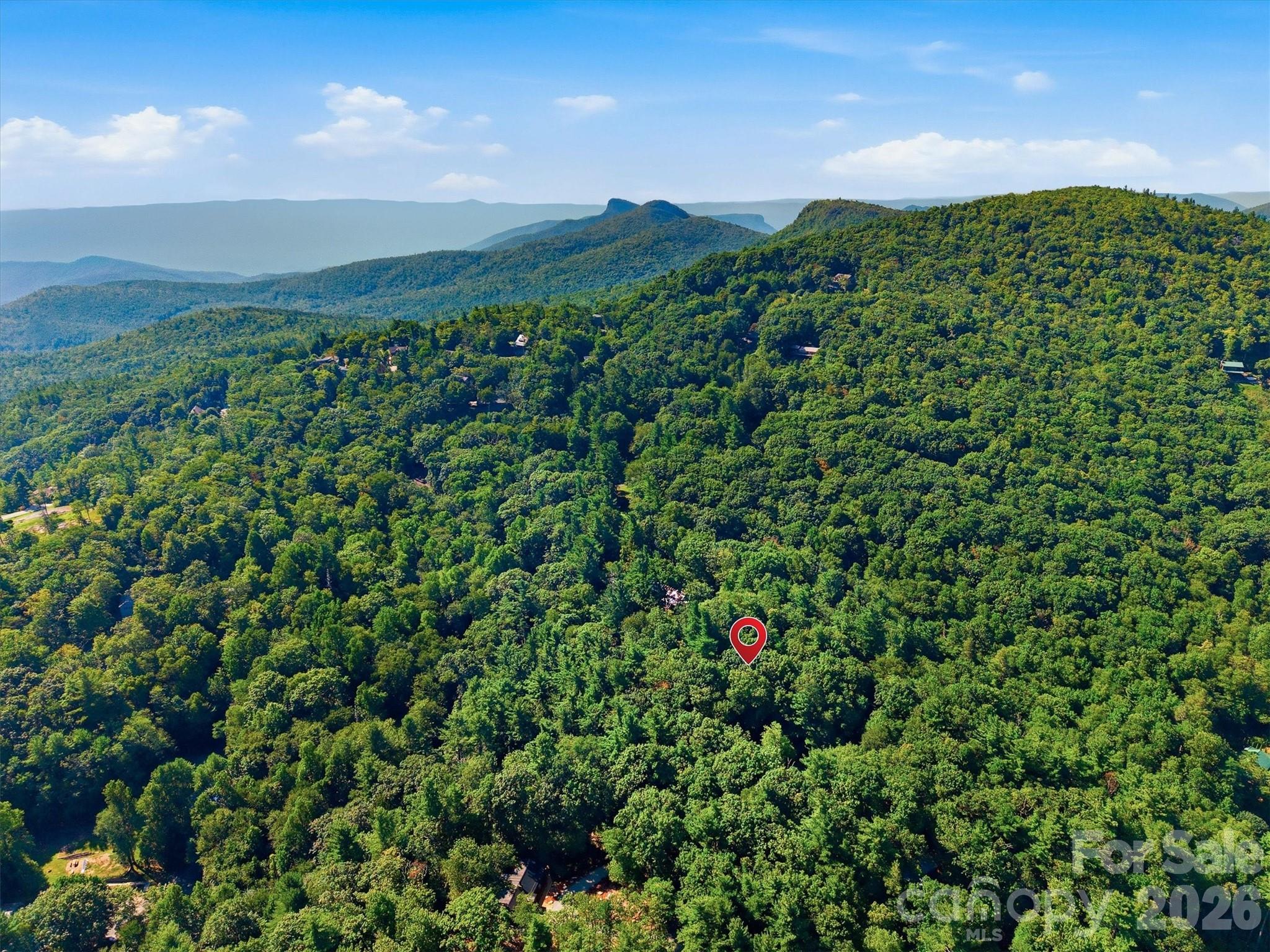 7036 Rhododendron Drive — Newland