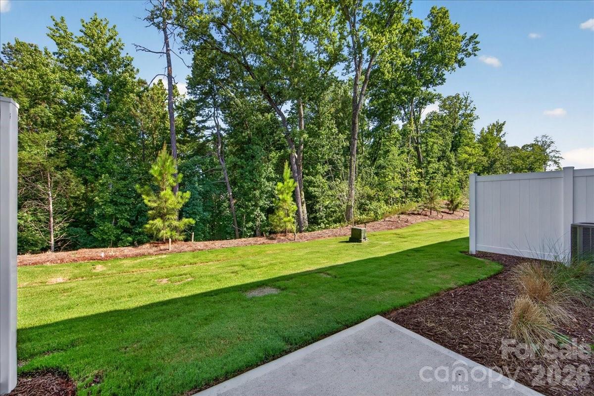 217 Landy Street — Fort Mill