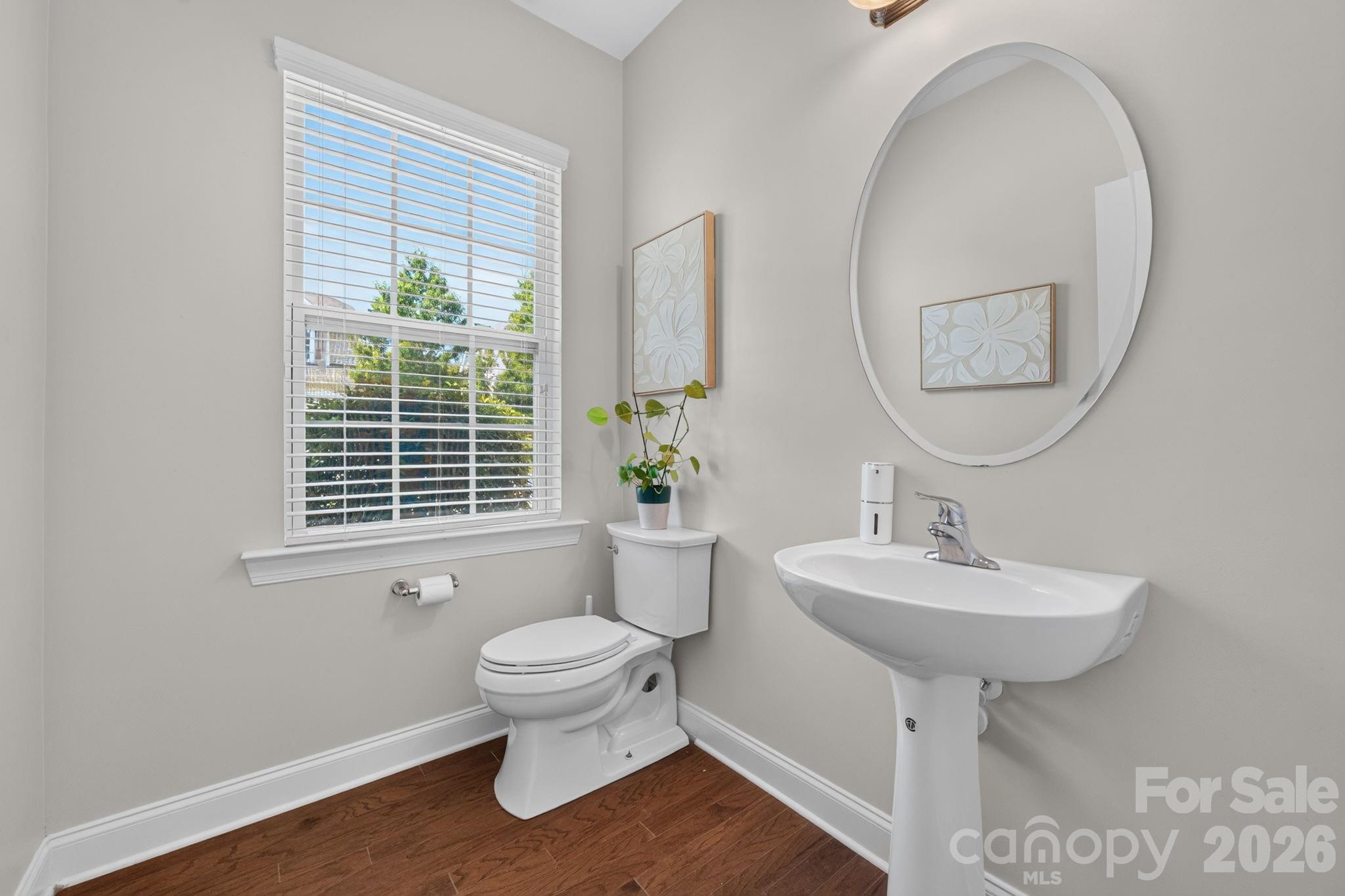 15110 Brannock Hills Drive — Charlotte