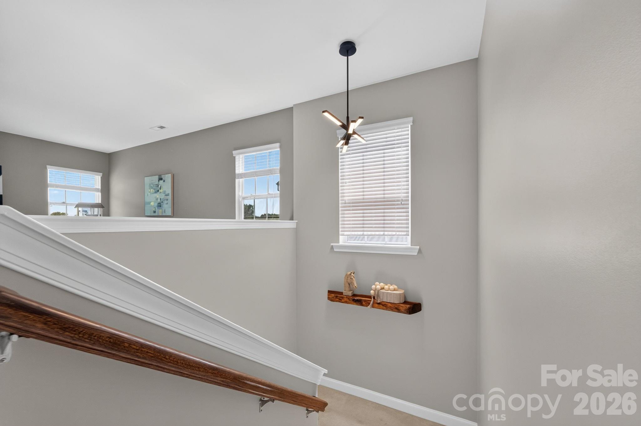 15110 Brannock Hills Drive — Charlotte