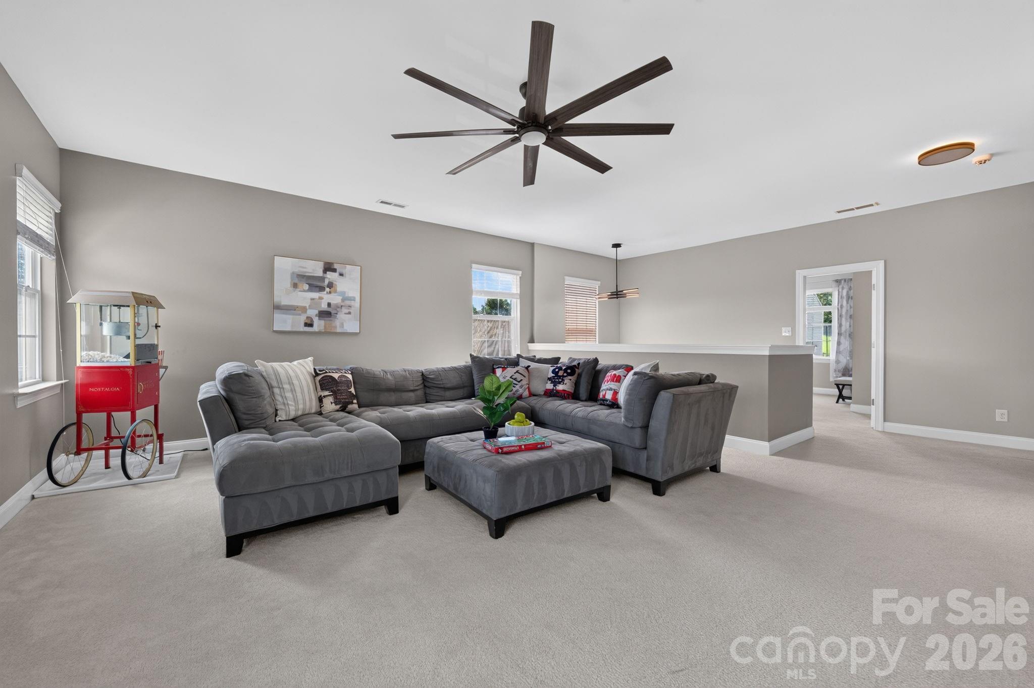 15110 Brannock Hills Drive — Charlotte