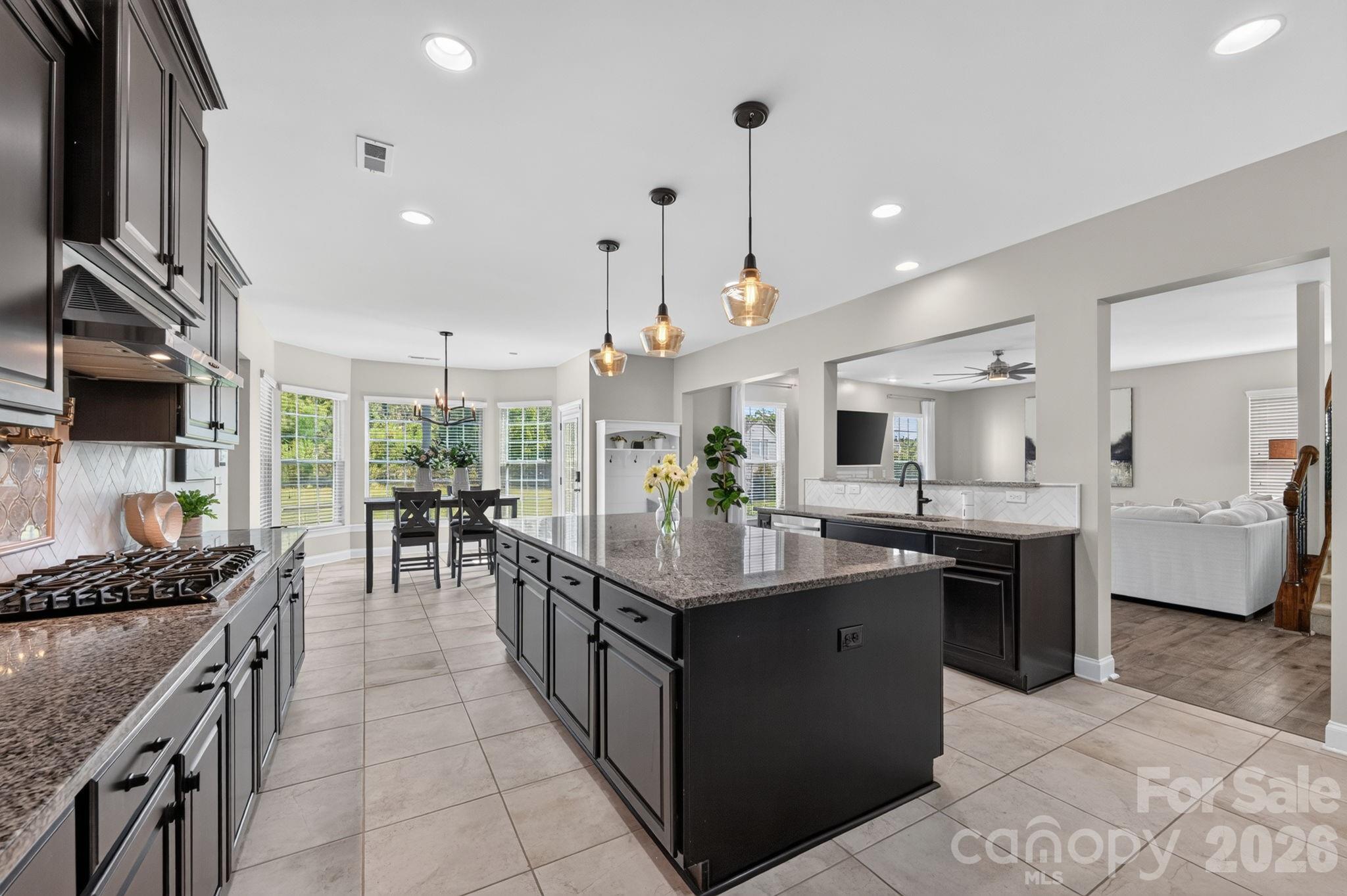 15110 Brannock Hills Drive — Charlotte