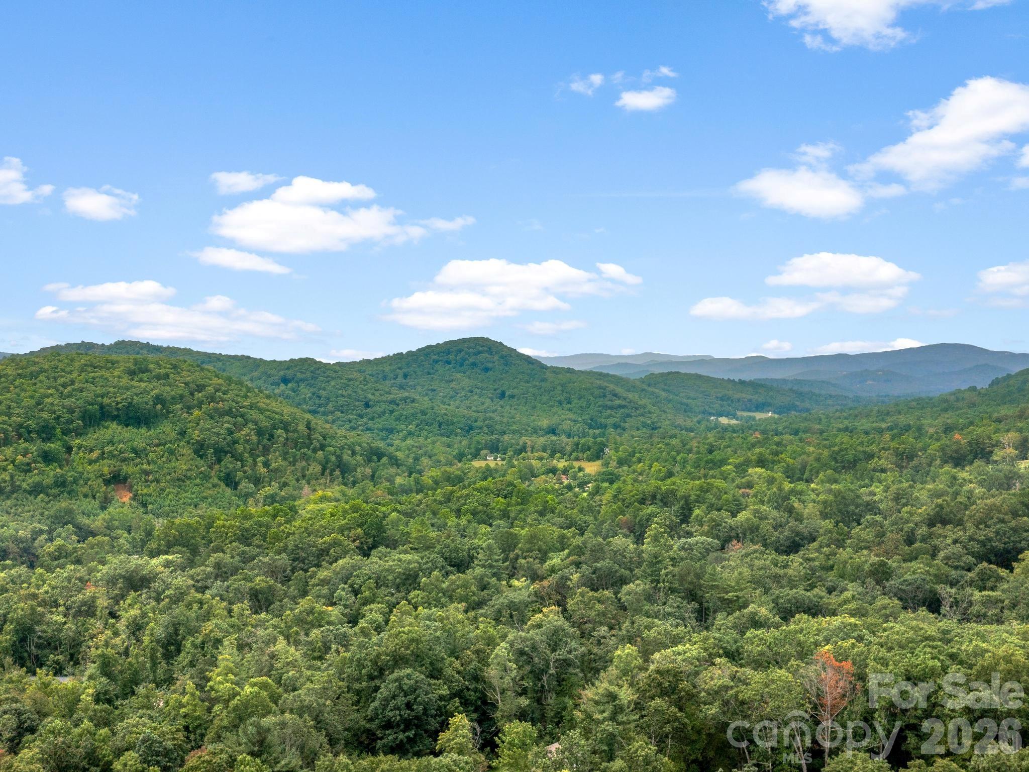 41 Bear Trail — Fairview