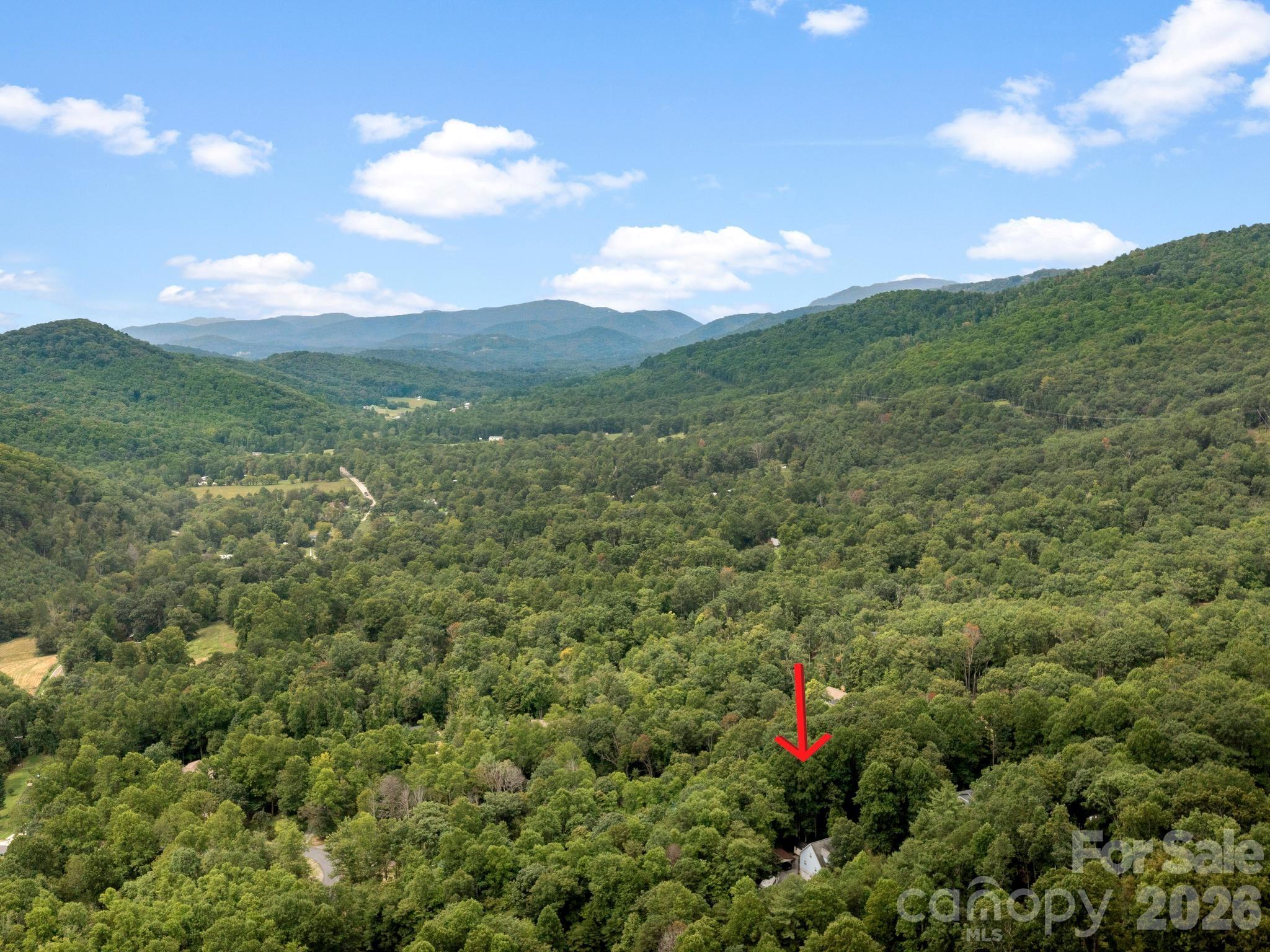 41 Bear Trail — Fairview