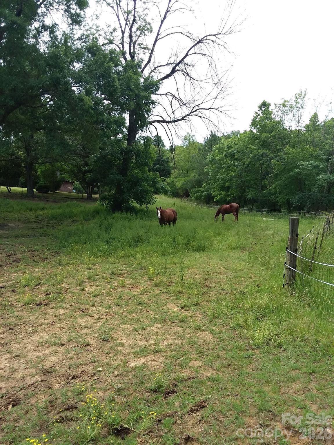 1753 Smith Farm Road #55 — Lexington
