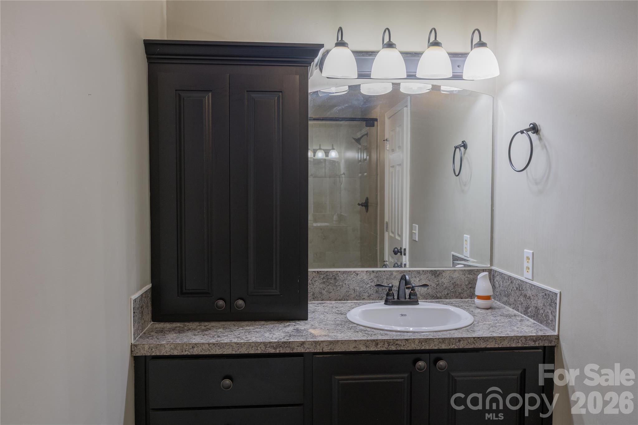 3910 English Oak Drive — Lincolnton