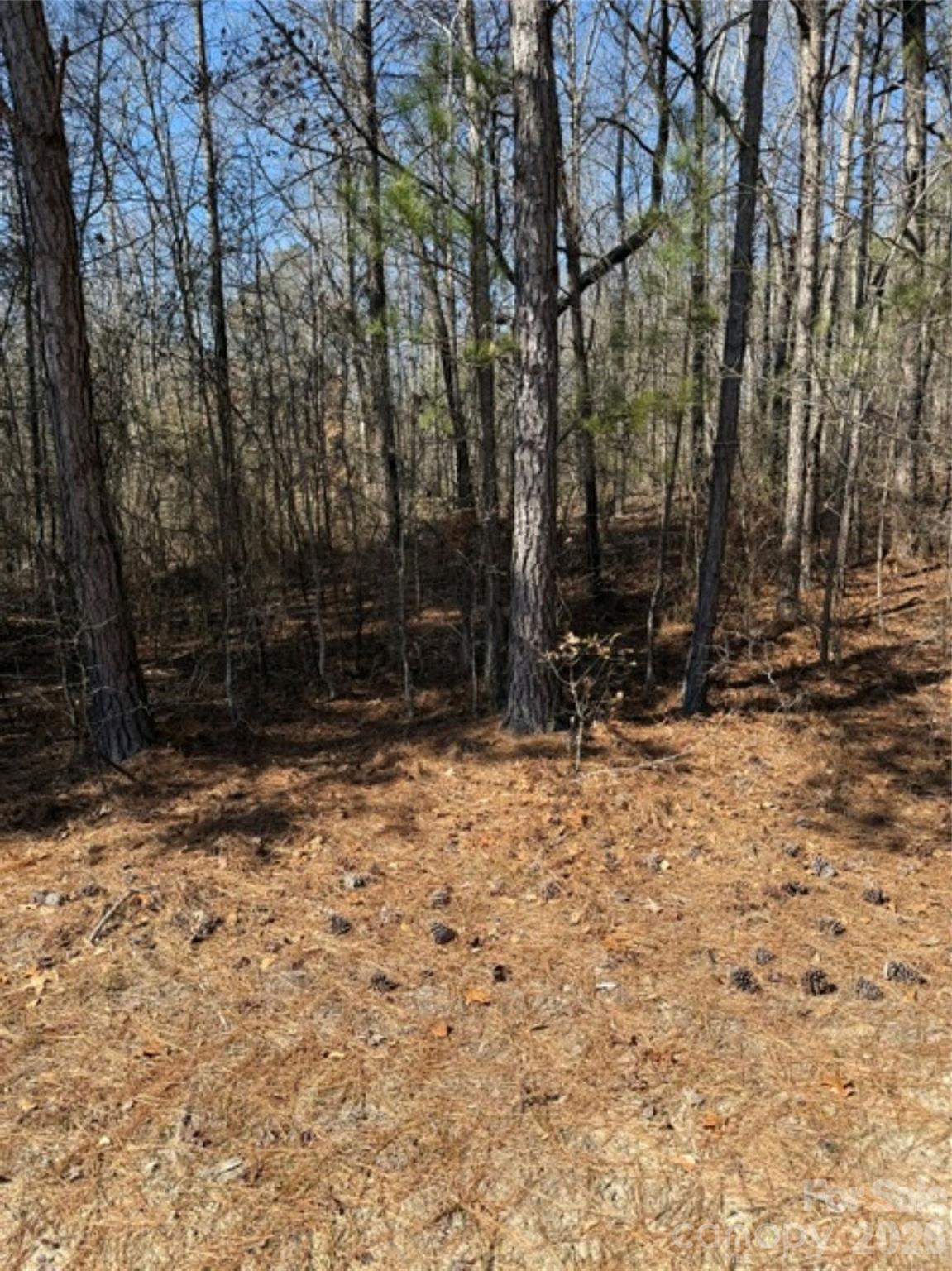 7155 Hwy 74 Highway E — Lilesville
