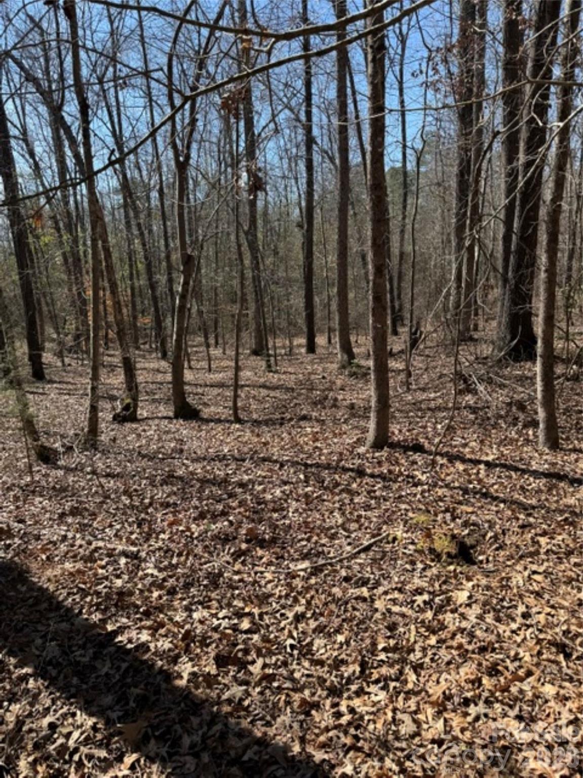 7155 Hwy 74 Highway E — Lilesville