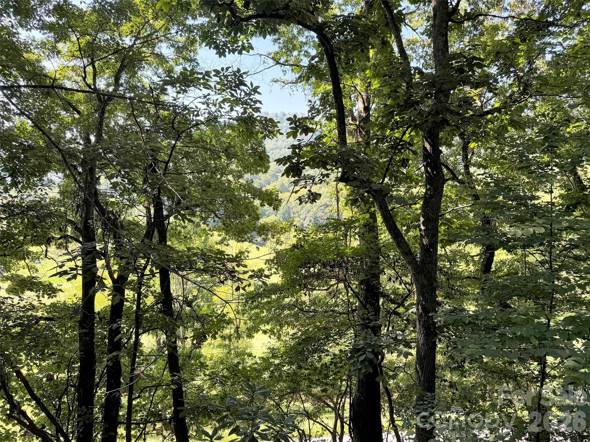 115 Knoll Ridge Lane — Waynesville