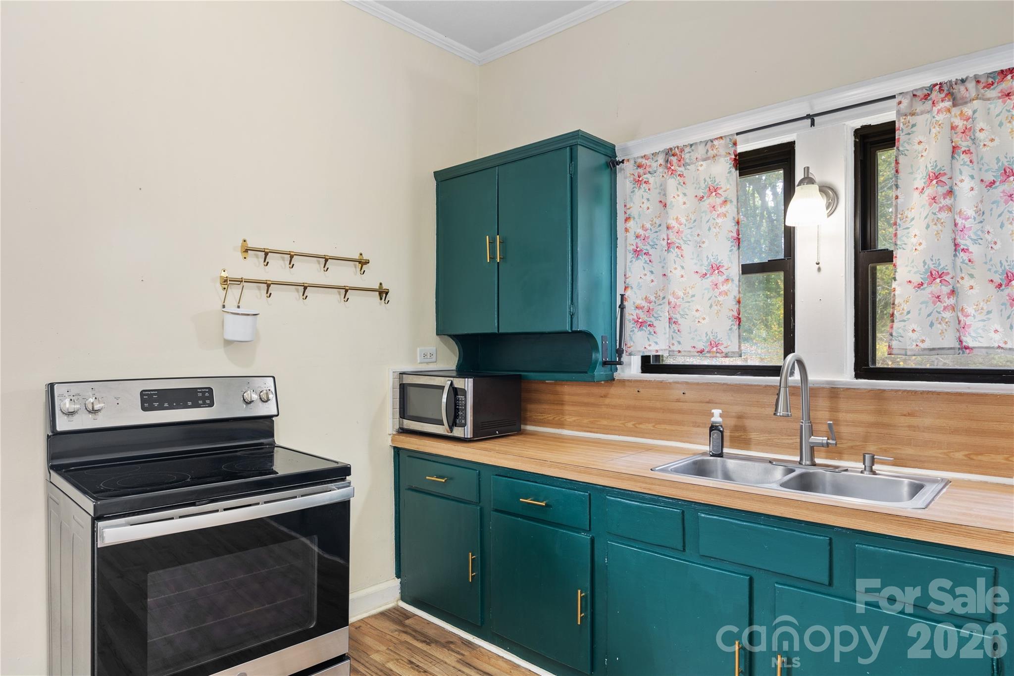 513 Edgemont Street — Albemarle