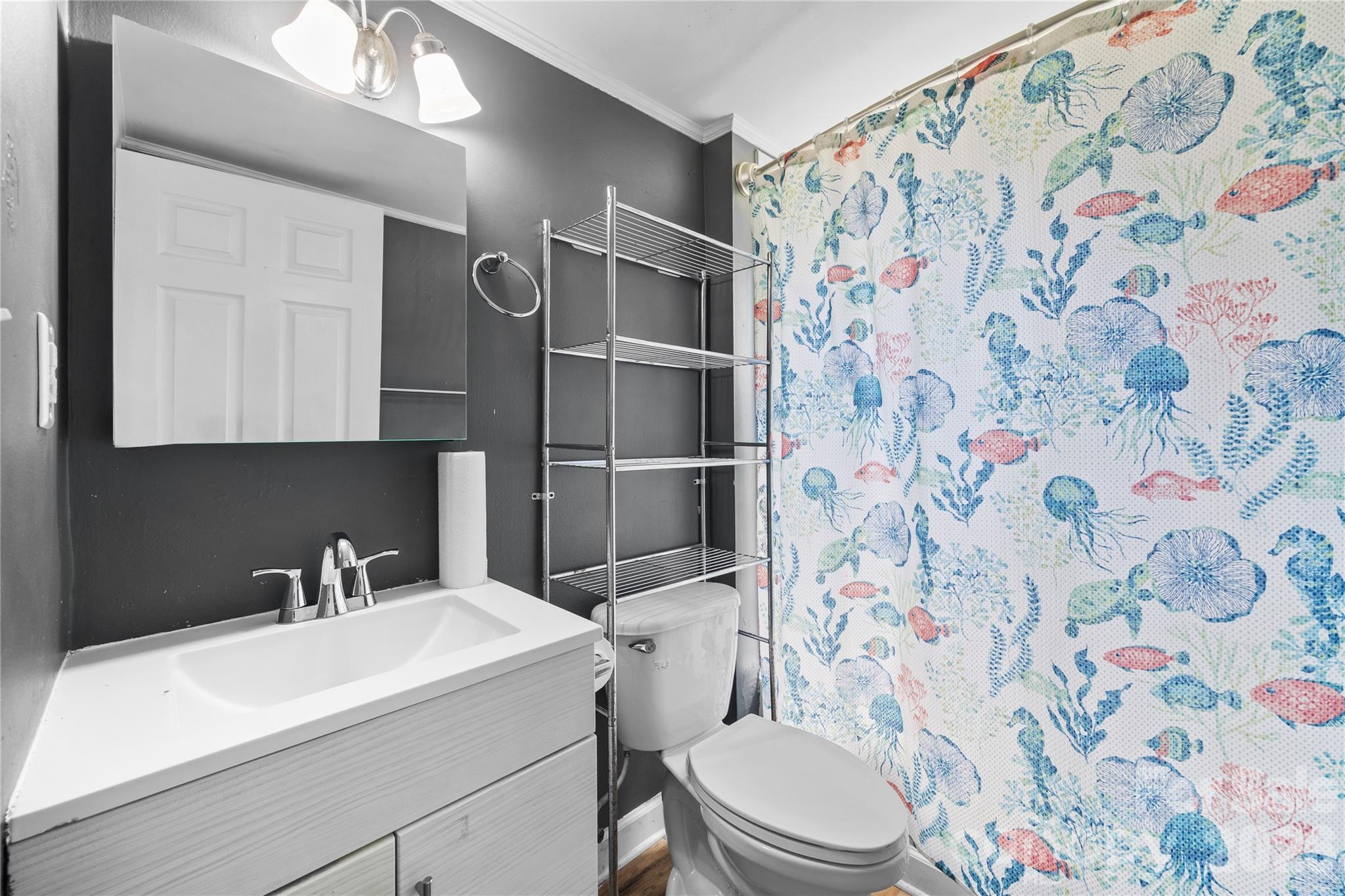 513 Edgemont Street — Albemarle