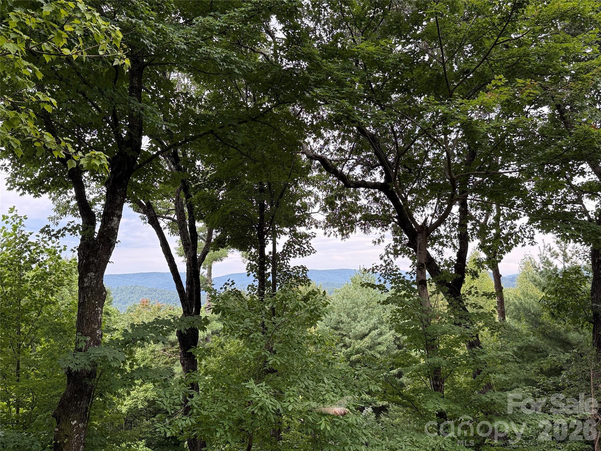 142 Fawn Lane — Purlear